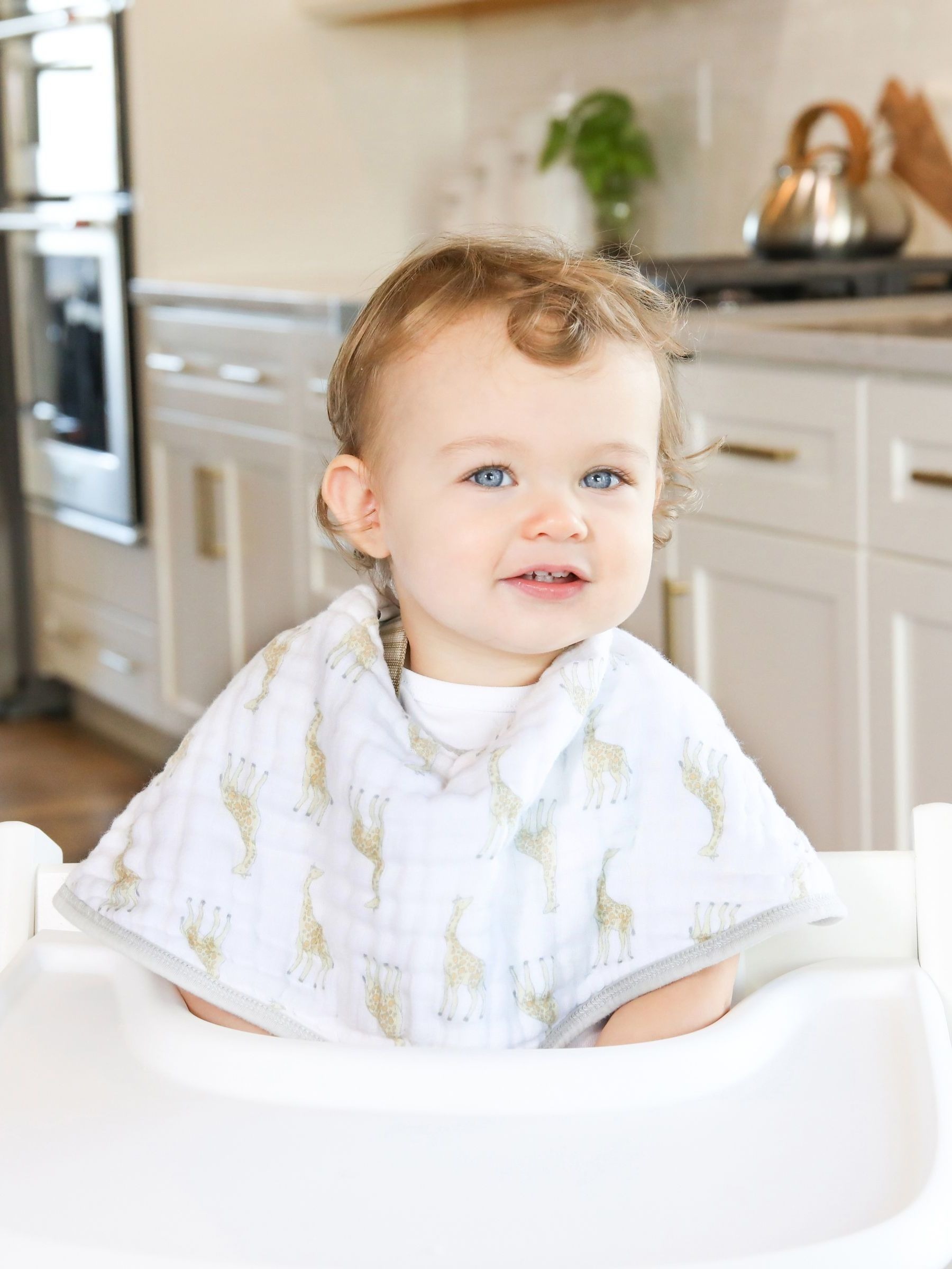 Baby Bib