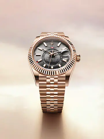 SKY-DWELLER