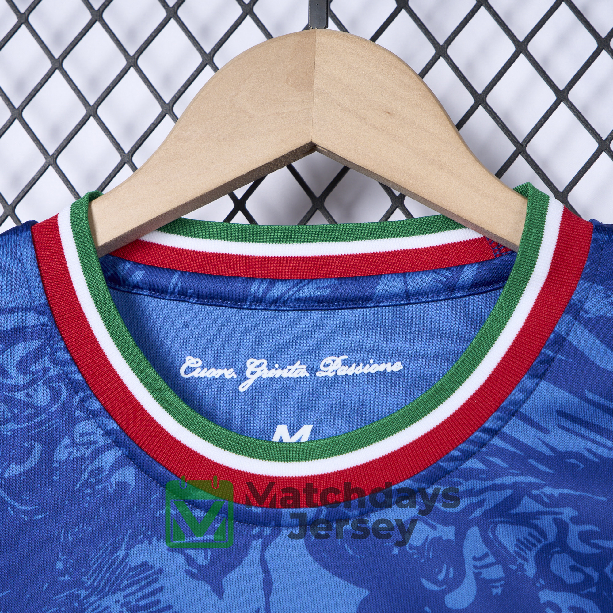 AlphaJersey-Italy 2024 Blue Special Edition Jersey - Fans Version