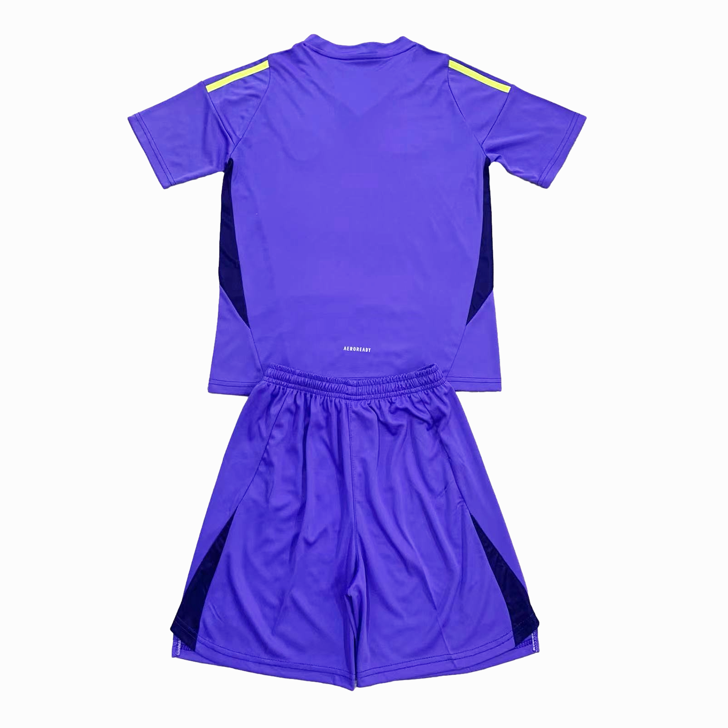 AlphaJersey-S-c-o.t l.a-n.d 2024 Goalkeeper Kids Kit - Purple