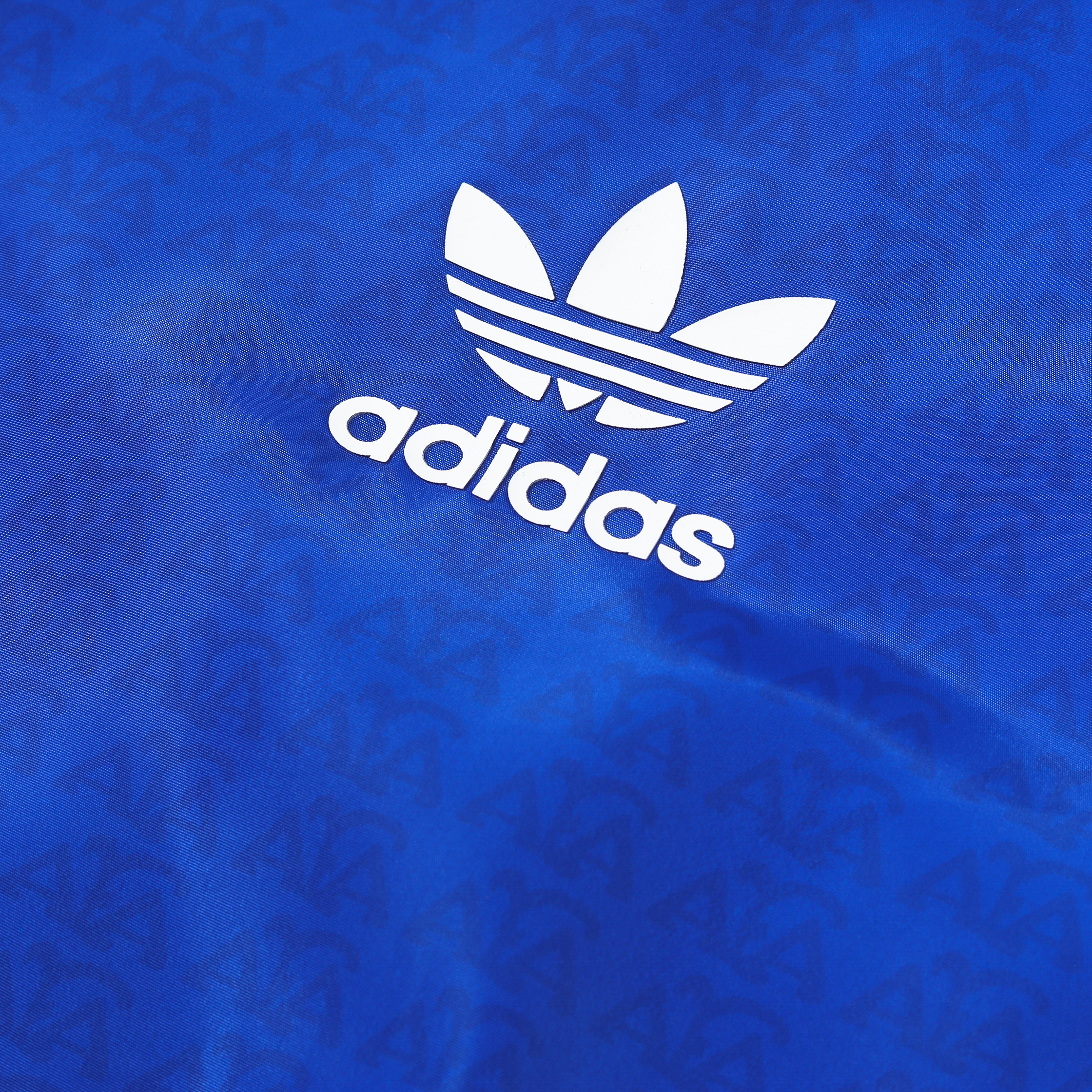 AlphaJersey-Argentine 2024 Vintage Style Blue Hooded Windbreaker - Player Version