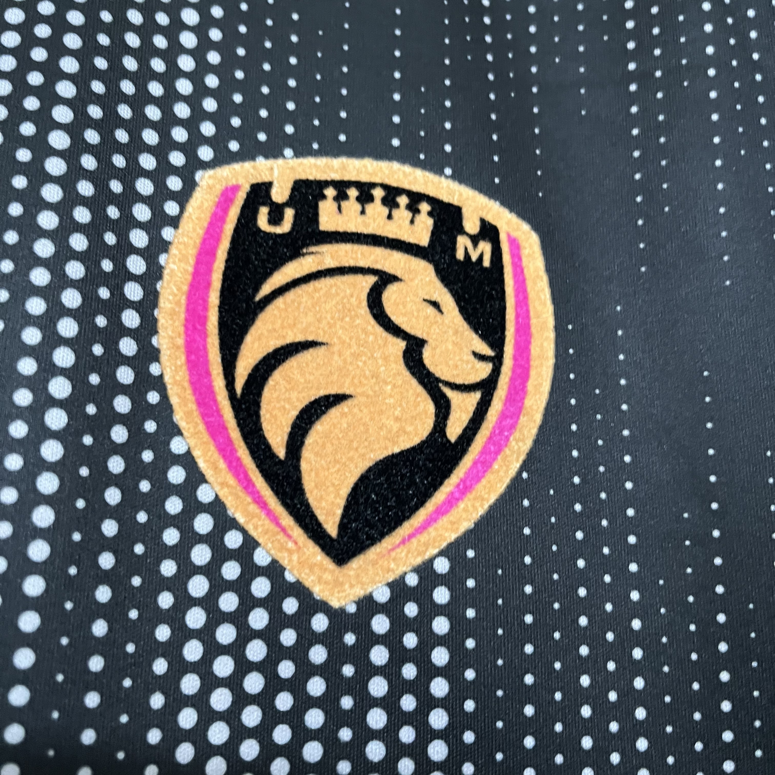 AlphaJersey-Ultimate Móstoles 2024 Home Stadium Jersey - Fans Version