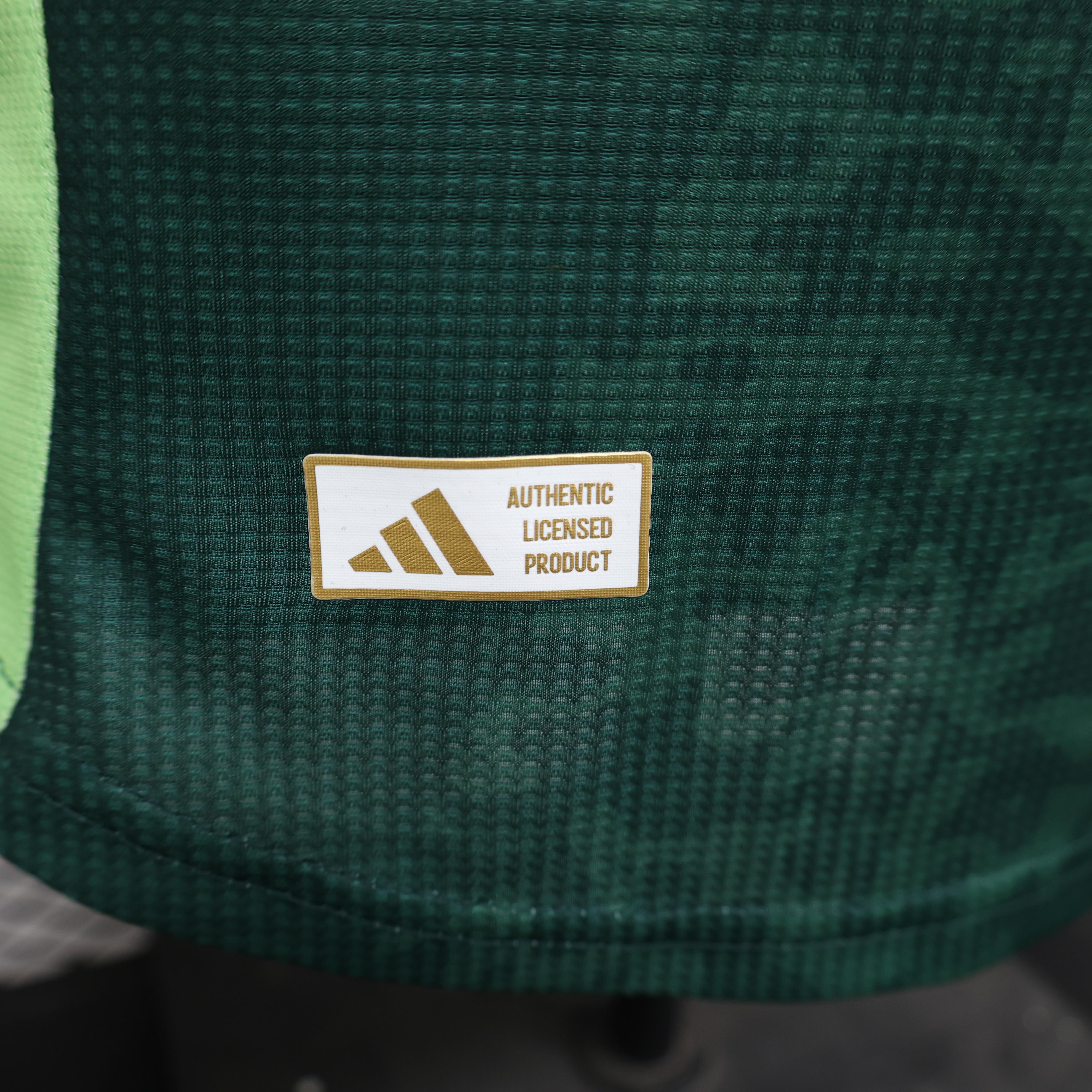 AlphaJersey-Algeria 2024 Away Jersey - Player Version