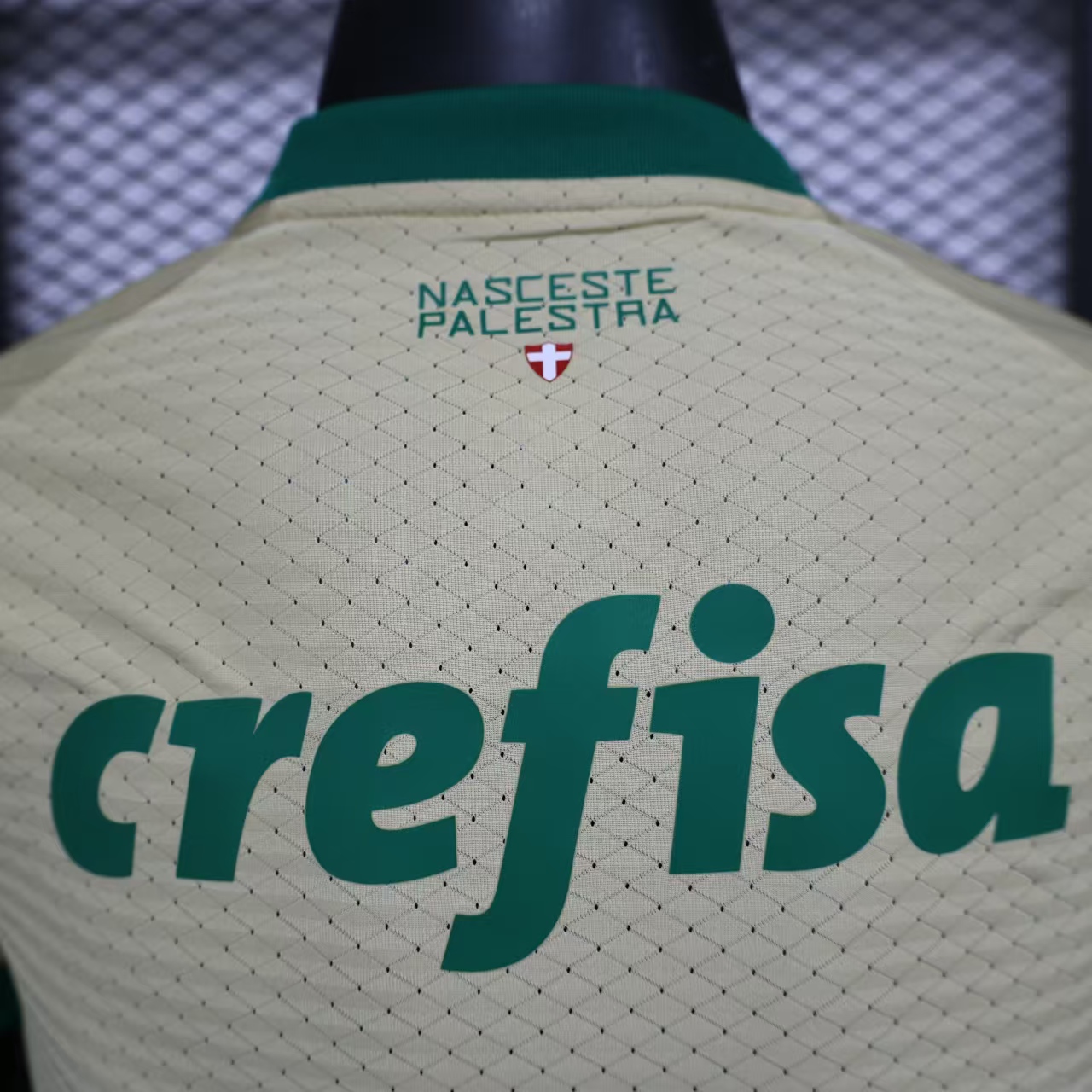 AlphaJersey-Palmeiras 2024 110-Year Anniversary Jersey - Player Version