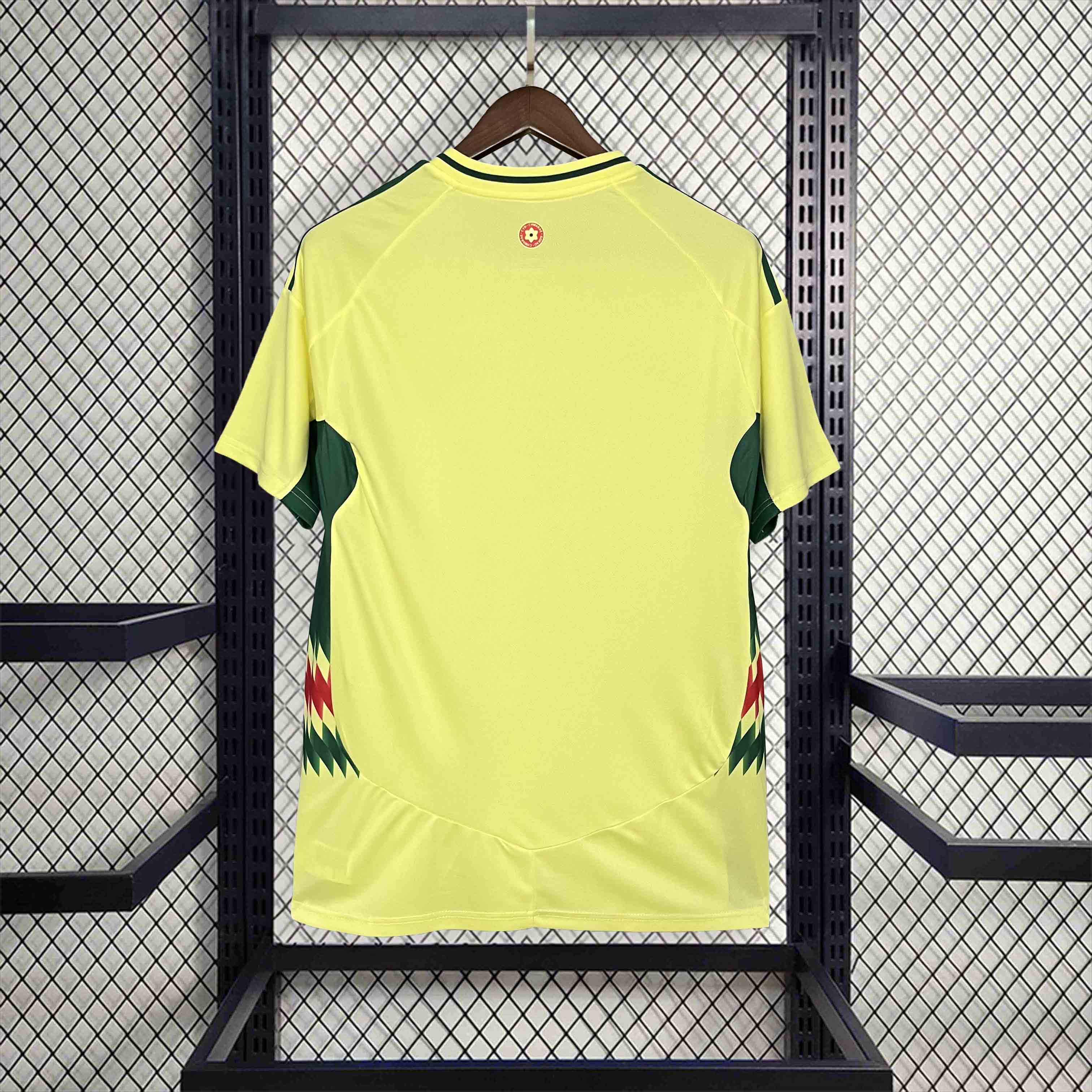 AlphaJersey-Wales 2024 Away Stadium Jersey - Fans Version