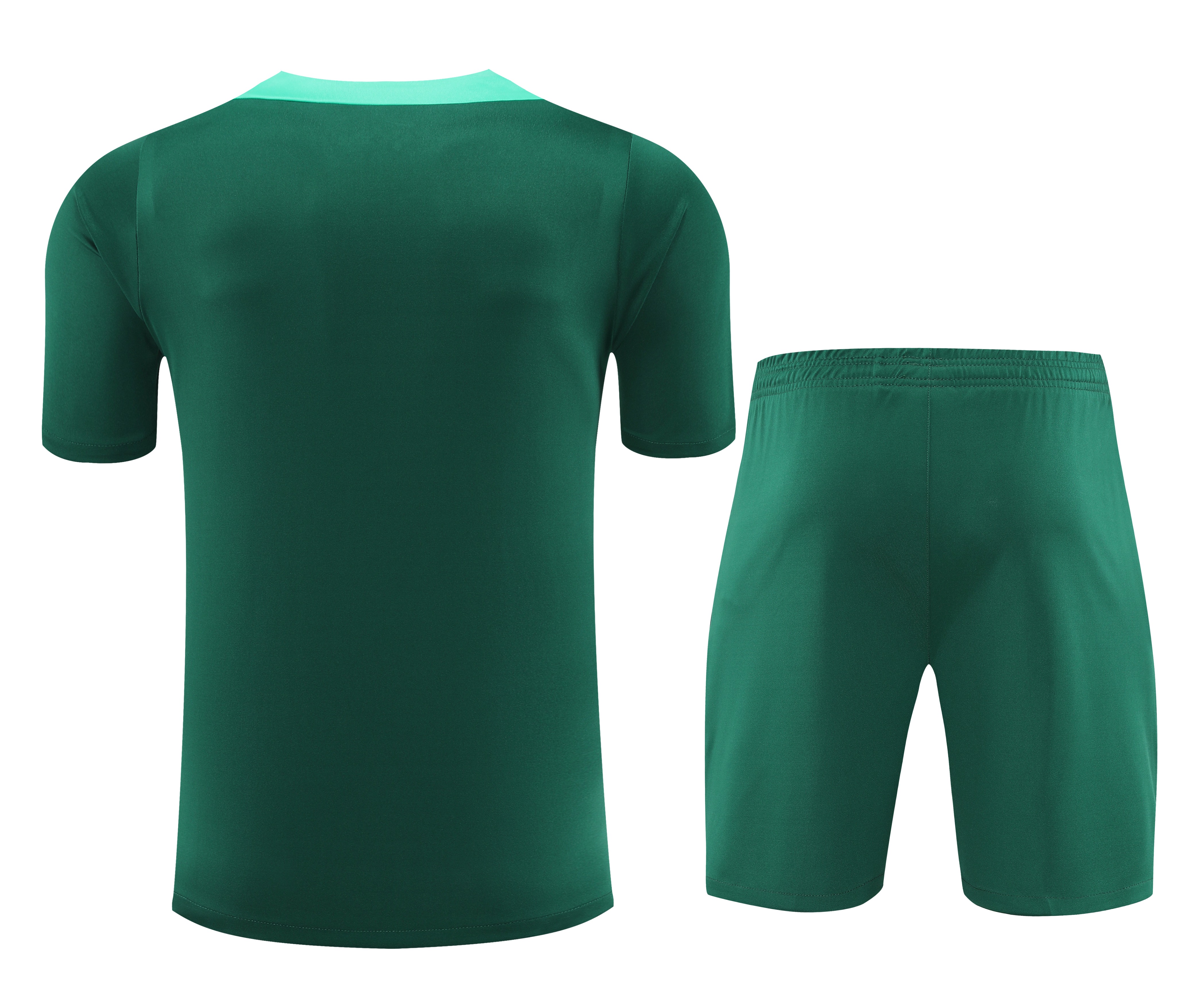 AlphaJersey-Portugal 2024 Short-Sleeve Training Set - Green