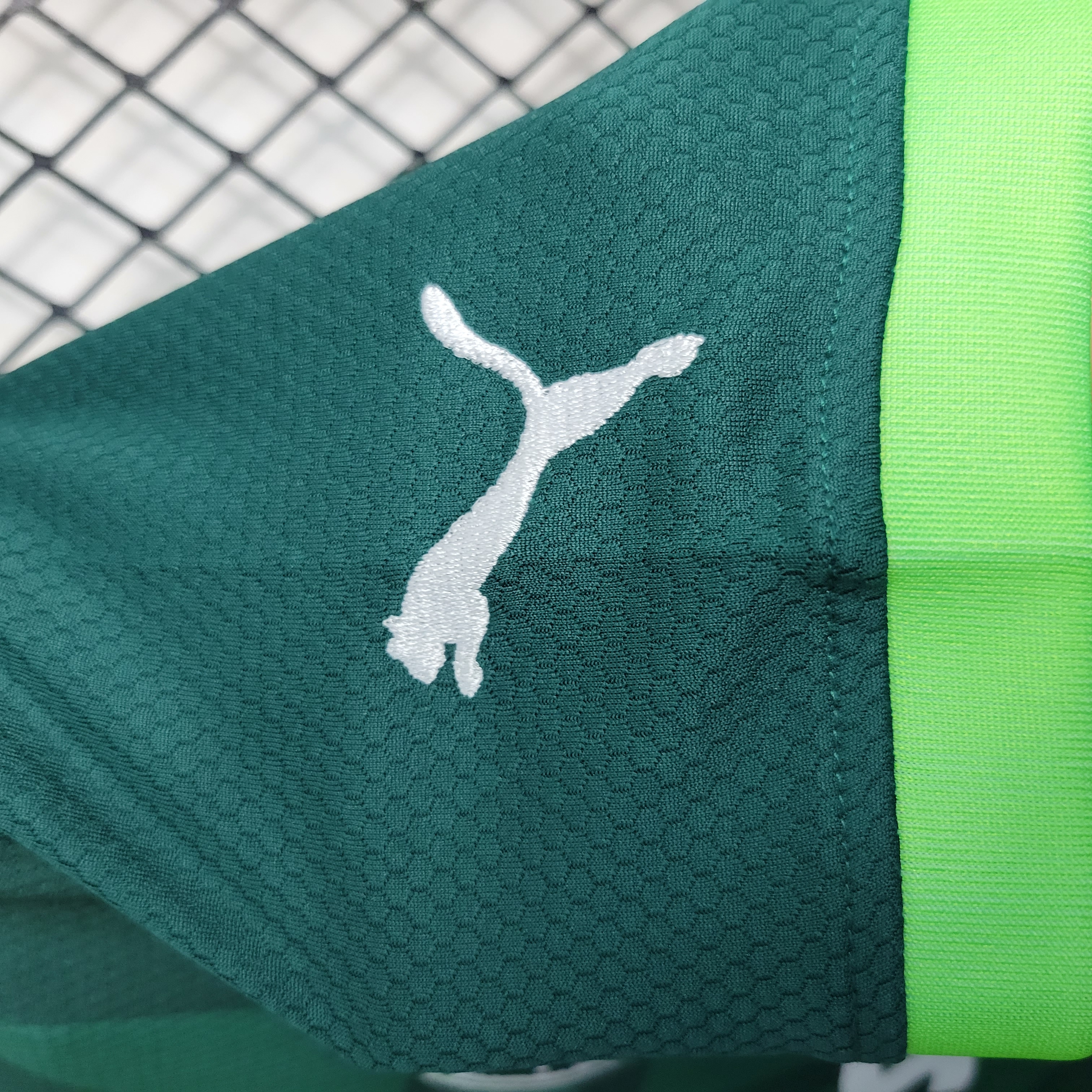 AlphaJersey-Palmeiras 2023 Home Stadium Kids Kit