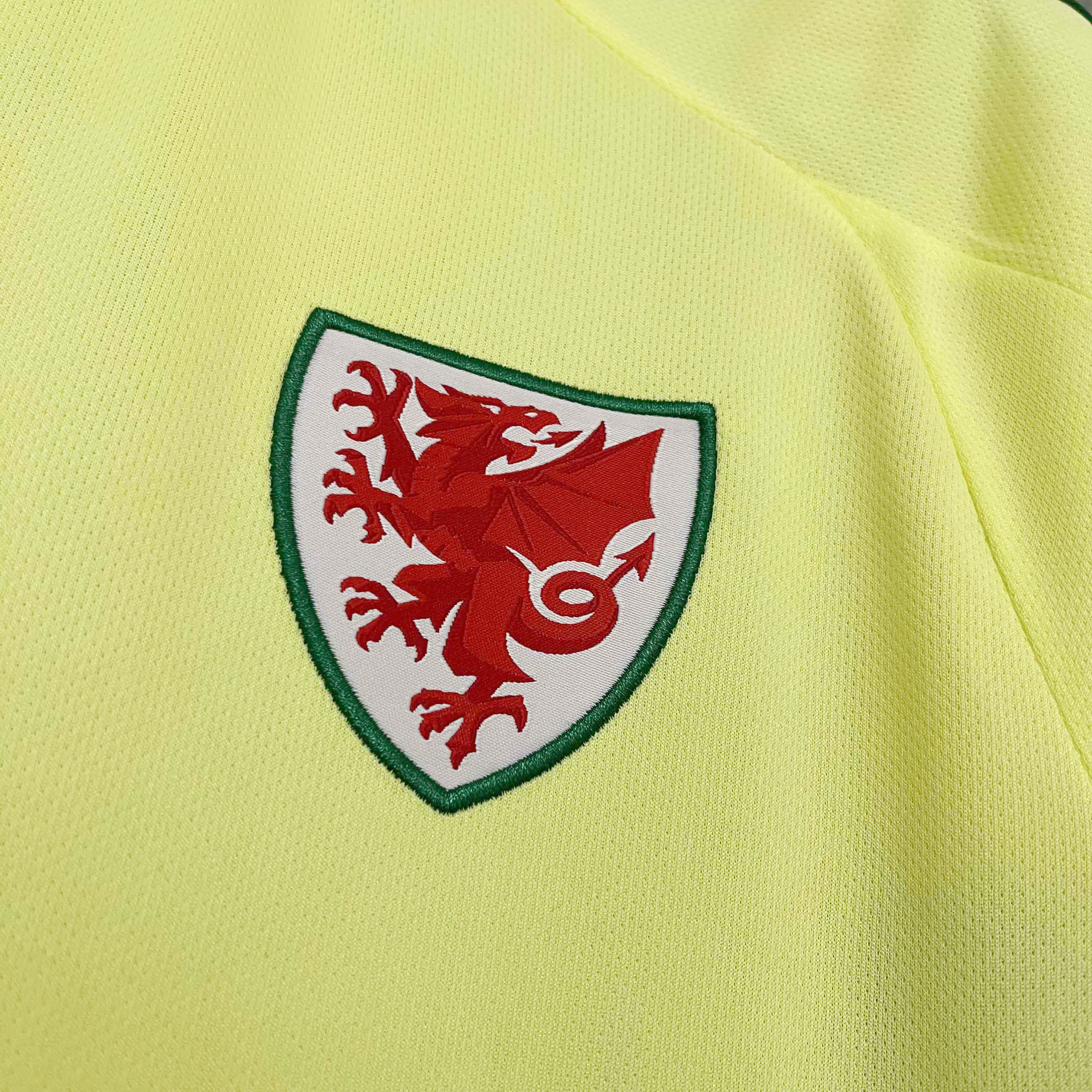 AlphaJersey-Wales 2024 Away Stadium Jersey - Fans Version