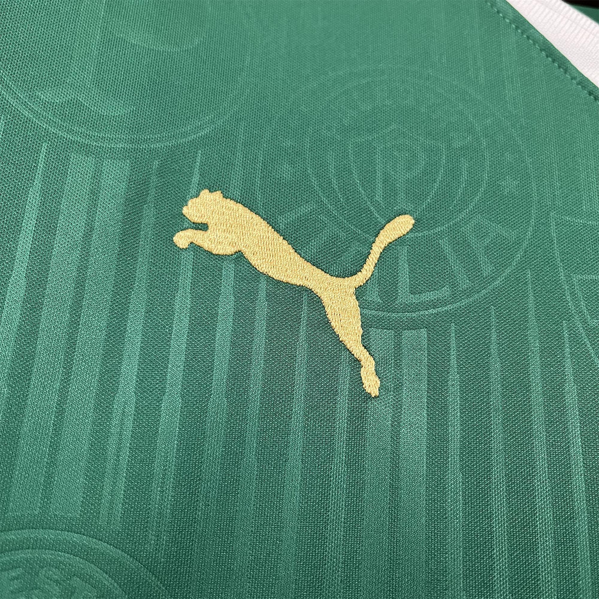 AlphaJersey-Palmeiras 2024 Home Stadium Jersey - Fans Version