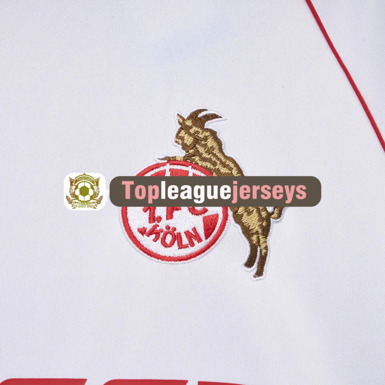 Socce Jerseys-topleaguejerseys.com