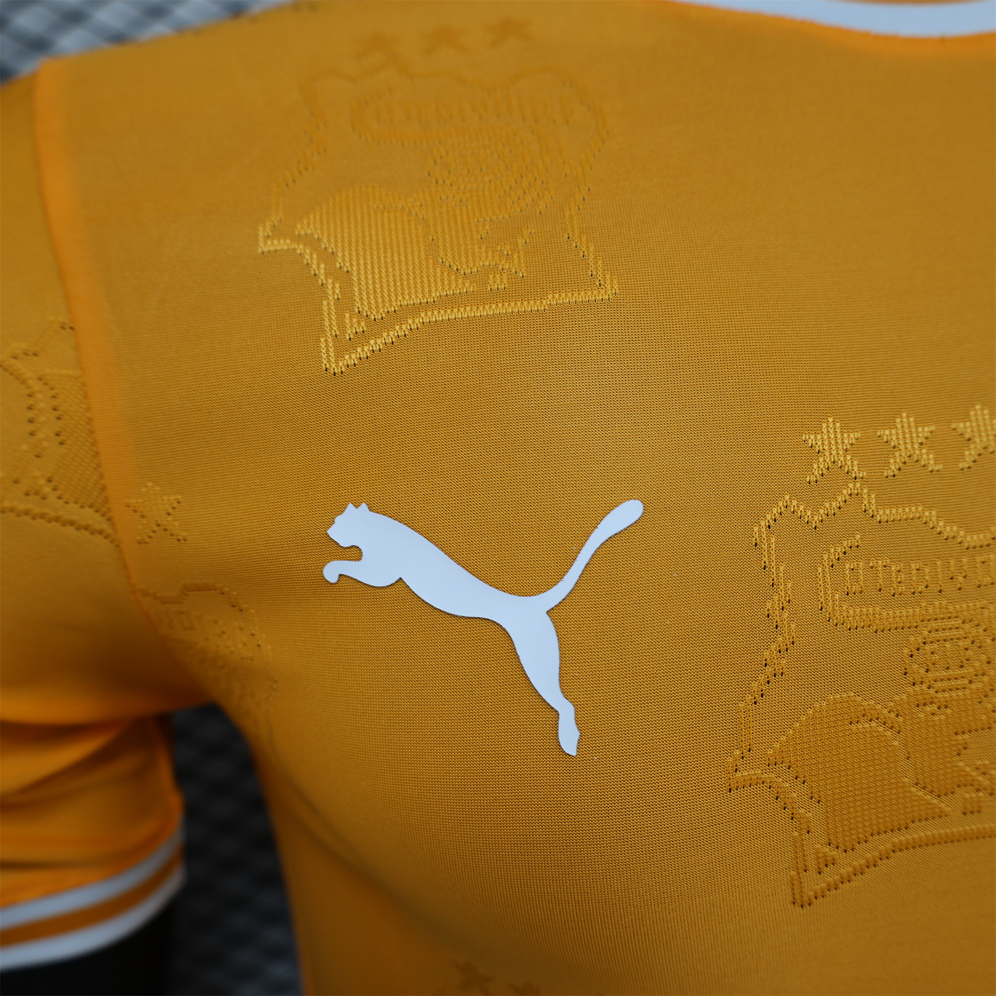 AlphaJersey-Ivory Coast 2024 Orange Elephant Special Edition Jersey - Player Version