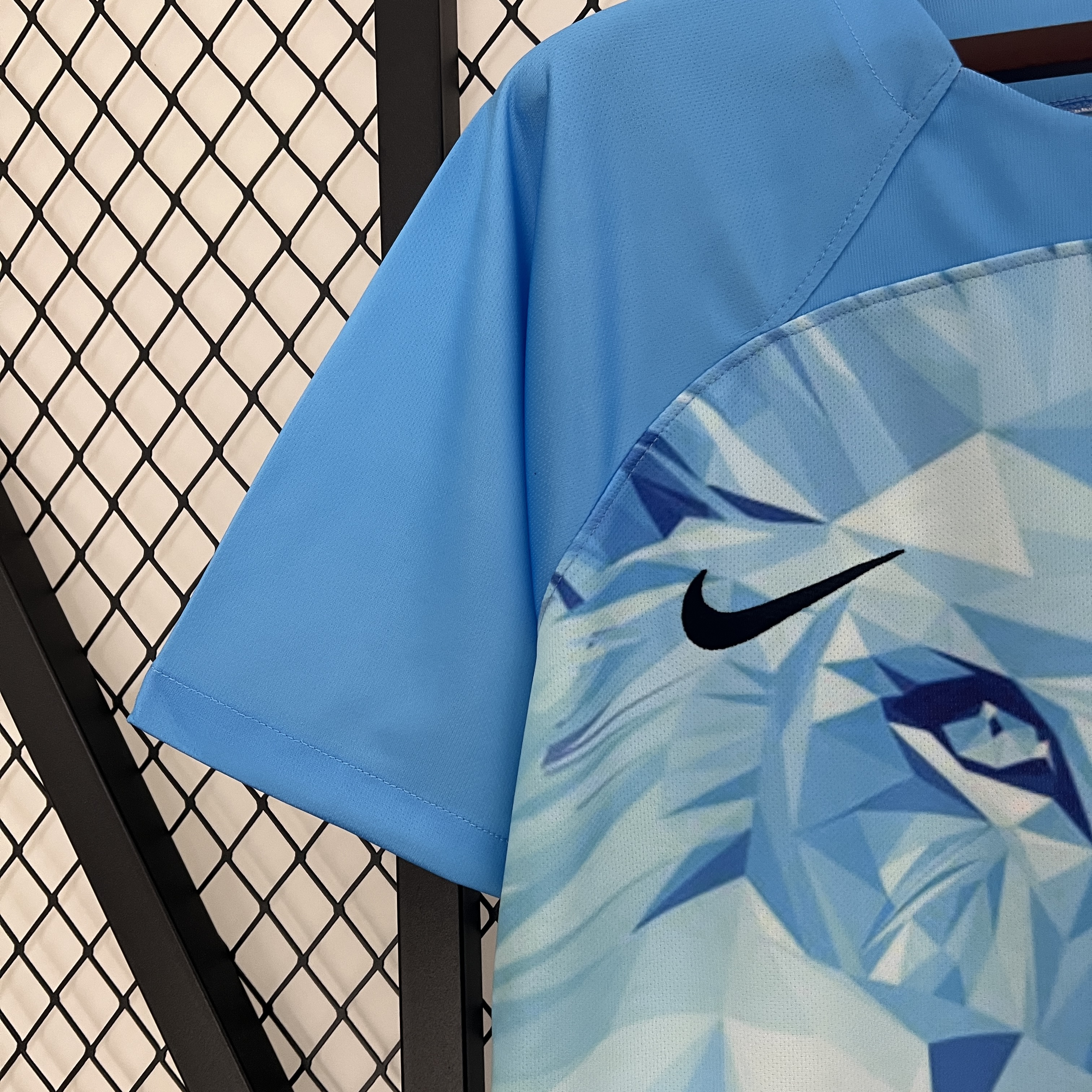 AlphaJersey-Netherlands 2024 Blue Special Edition Jersey - Fans Version