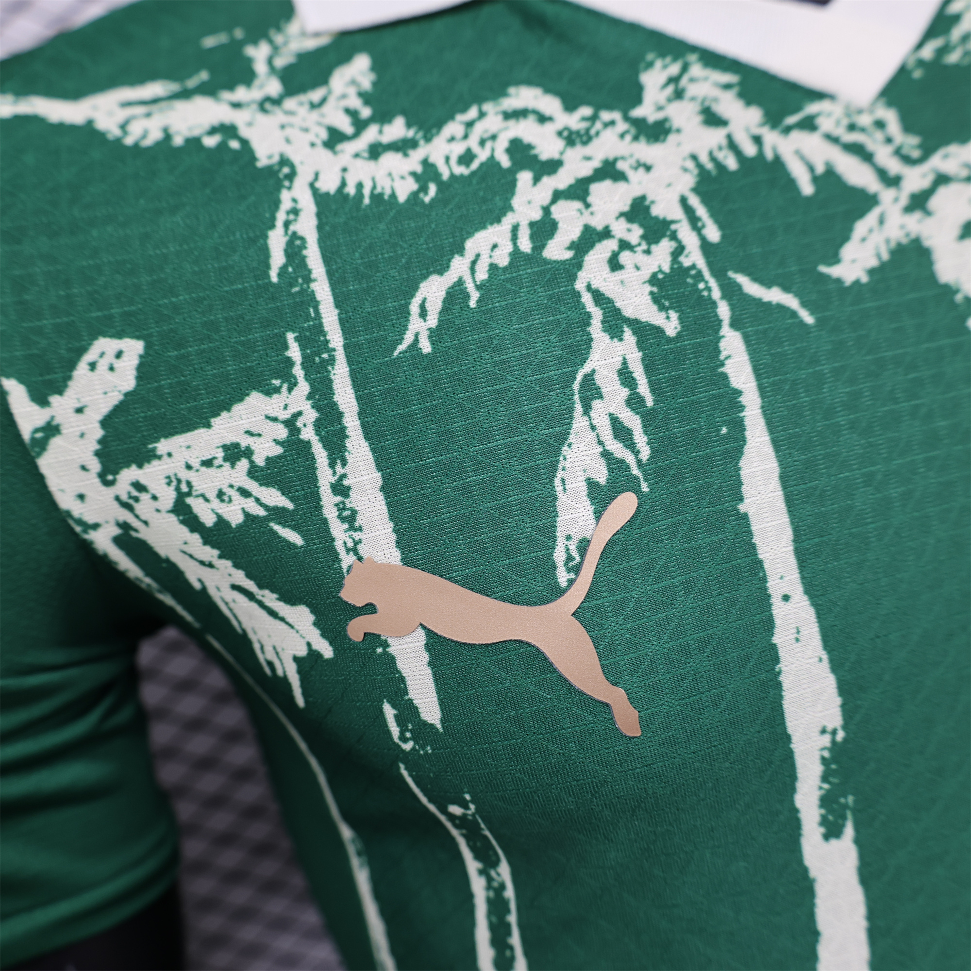 AlphaJersey-Palmeiras 2025 Home (Informal-release Version) Jersey - Player Version
