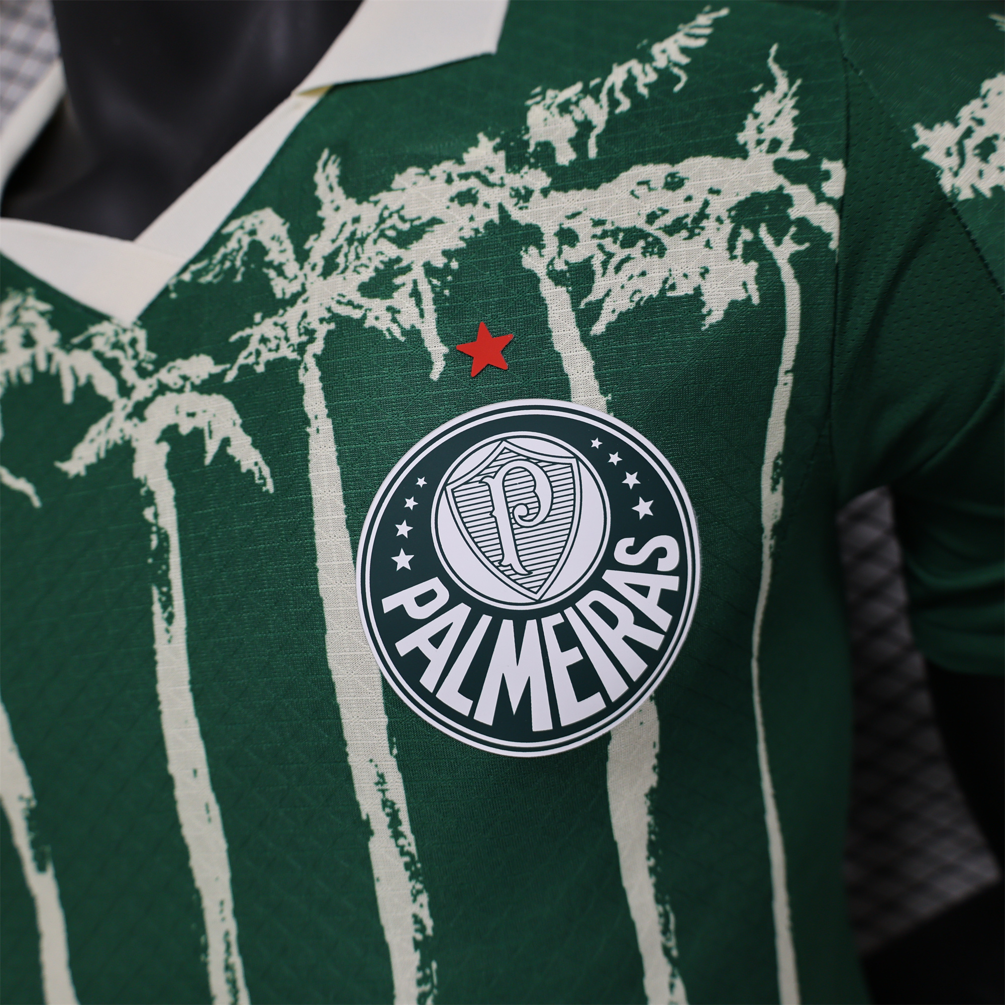 AlphaJersey-Palmeiras 2025 Home (Informal-release Version) Jersey - Player Version