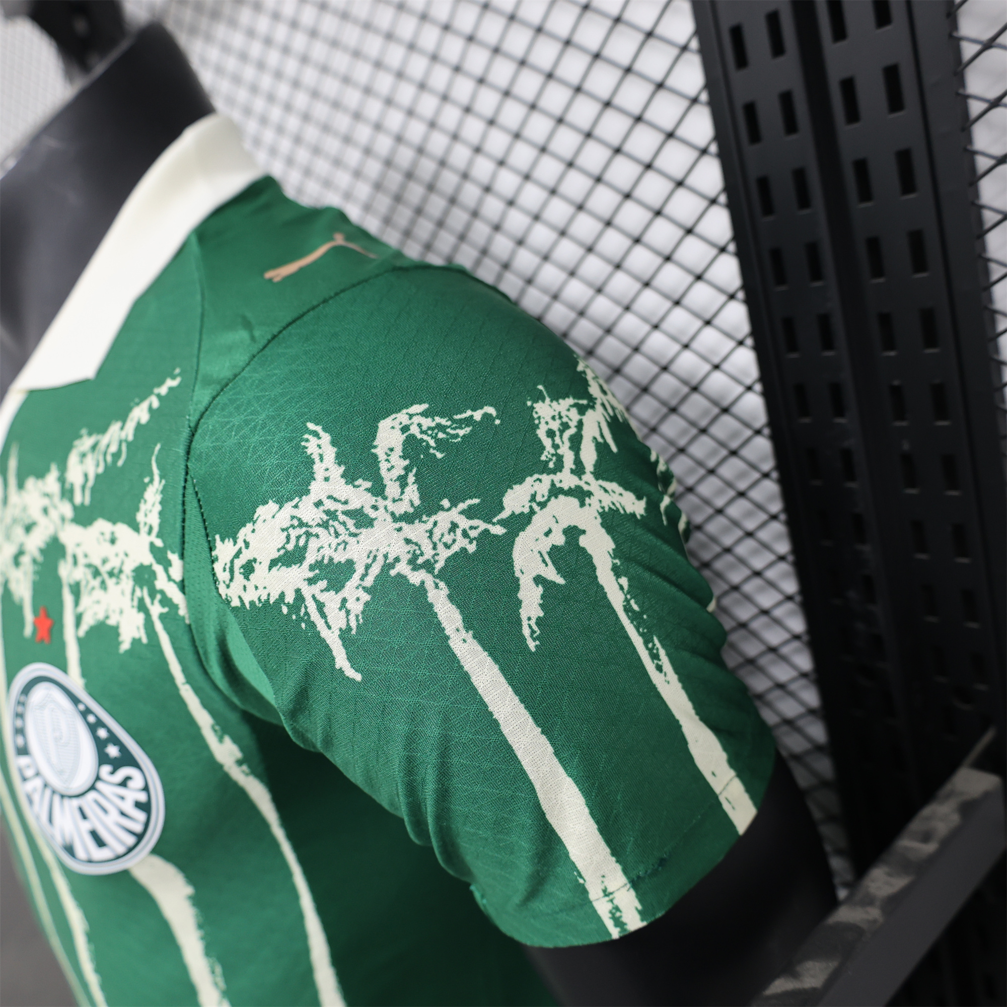 AlphaJersey-Palmeiras 2025 Home (Informal-release Version) Jersey - Player Version