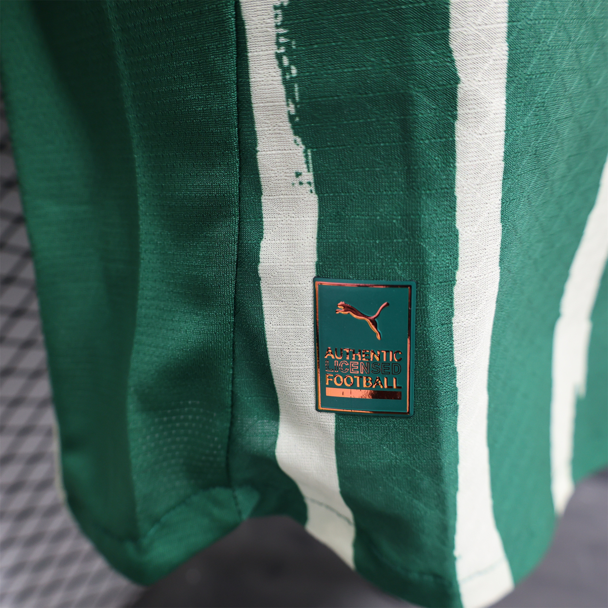 AlphaJersey-Palmeiras 2025 Home (Informal-release Version) Jersey - Player Version
