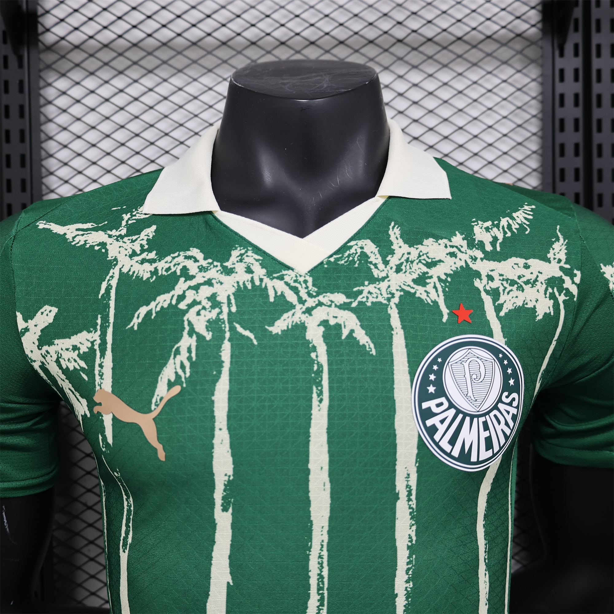 AlphaJersey-Palmeiras 2025 Home (Informal-release Version) Jersey - Player Version