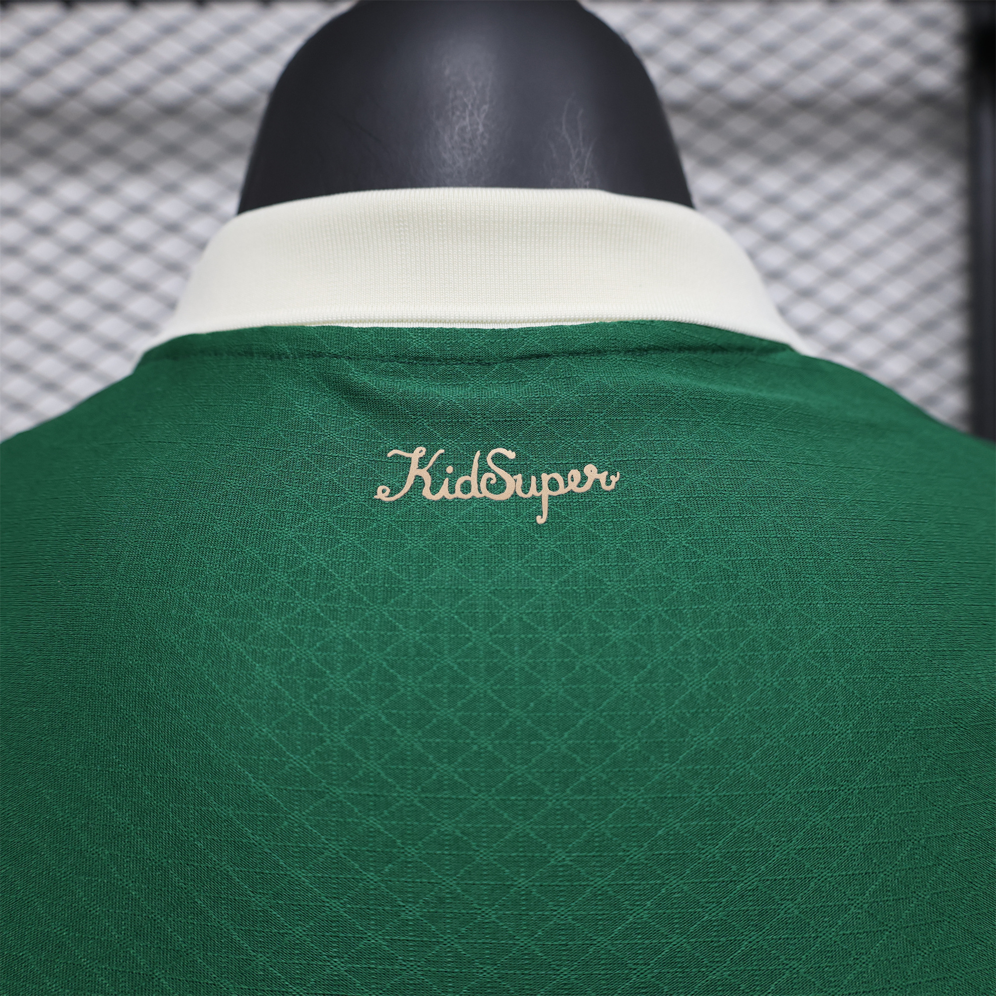 AlphaJersey-Palmeiras 2025 Home (Informal-release Version) Jersey - Player Version