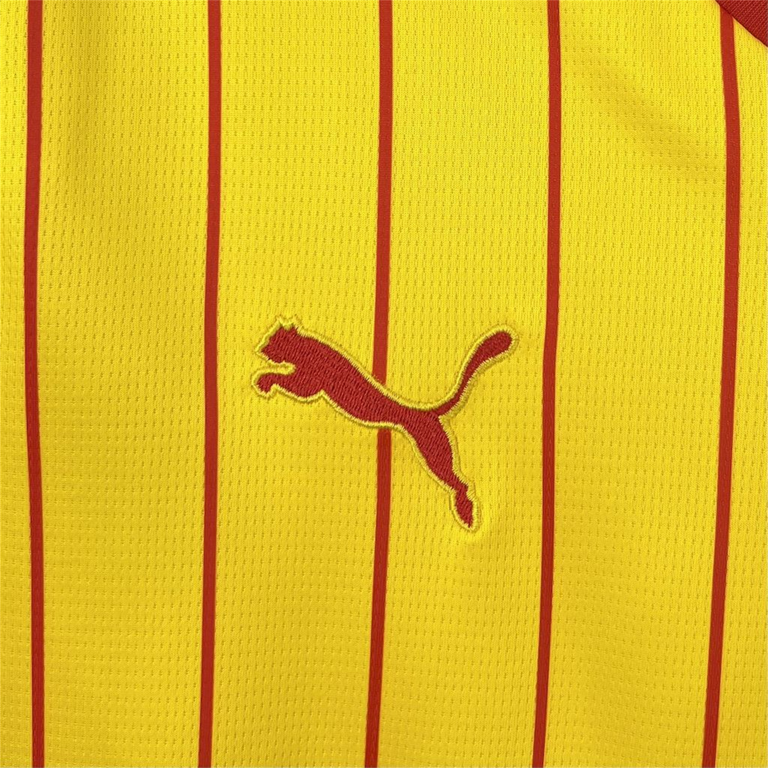 AlphaJersey-RC Lens 25-26 Home Jersey - Fans Version