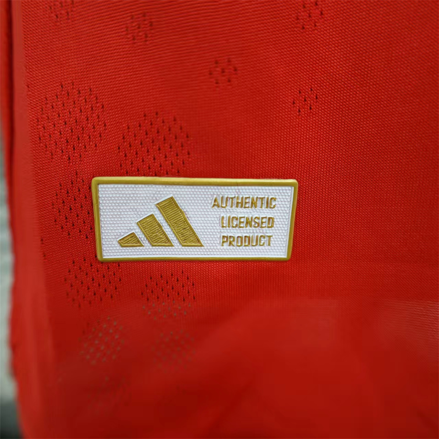 AlphaJersey-Benfica 25-26 Home Jersey - Player Version