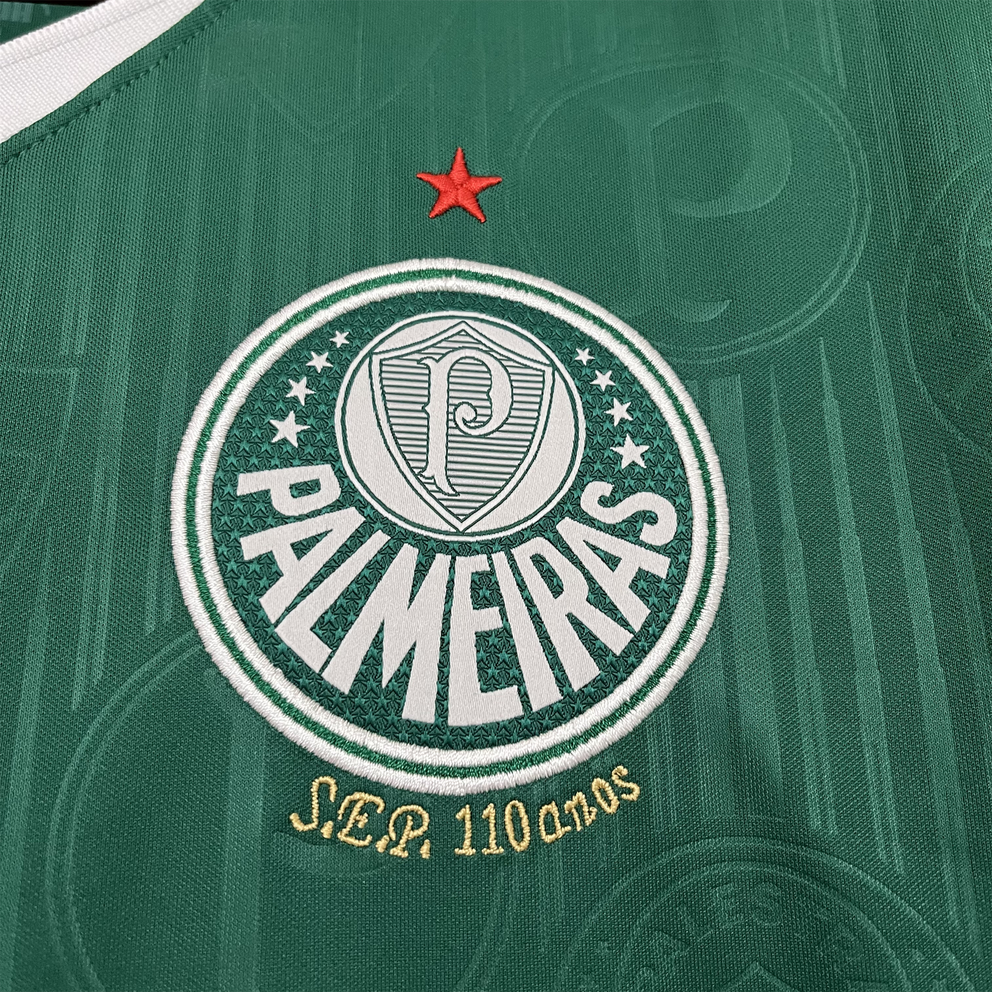 AlphaJersey-Palmeiras 2024 Home Stadium Jersey - Fans Version