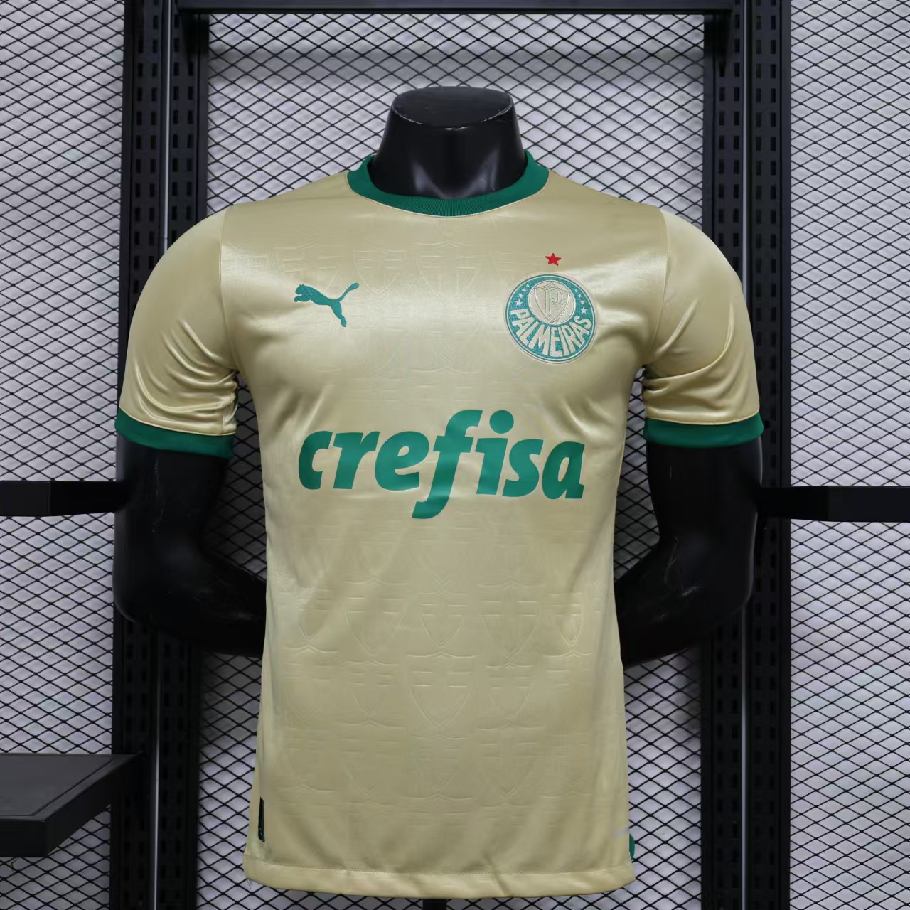 AlphaJersey-Palmeiras 2024 110-Year Anniversary Jersey - Player Version