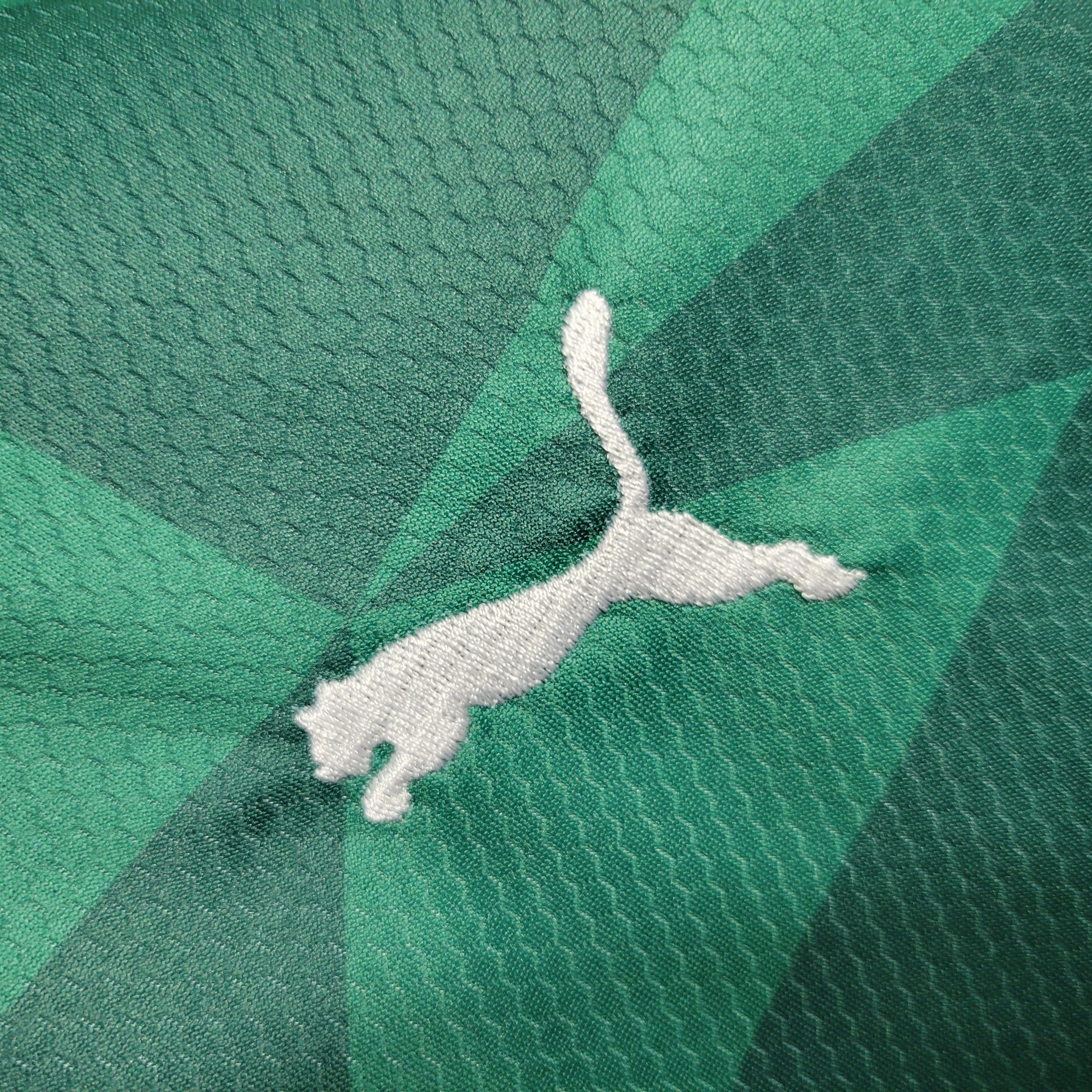 AlphaJersey-Palmeiras 2023 Home Stadium Kids Kit