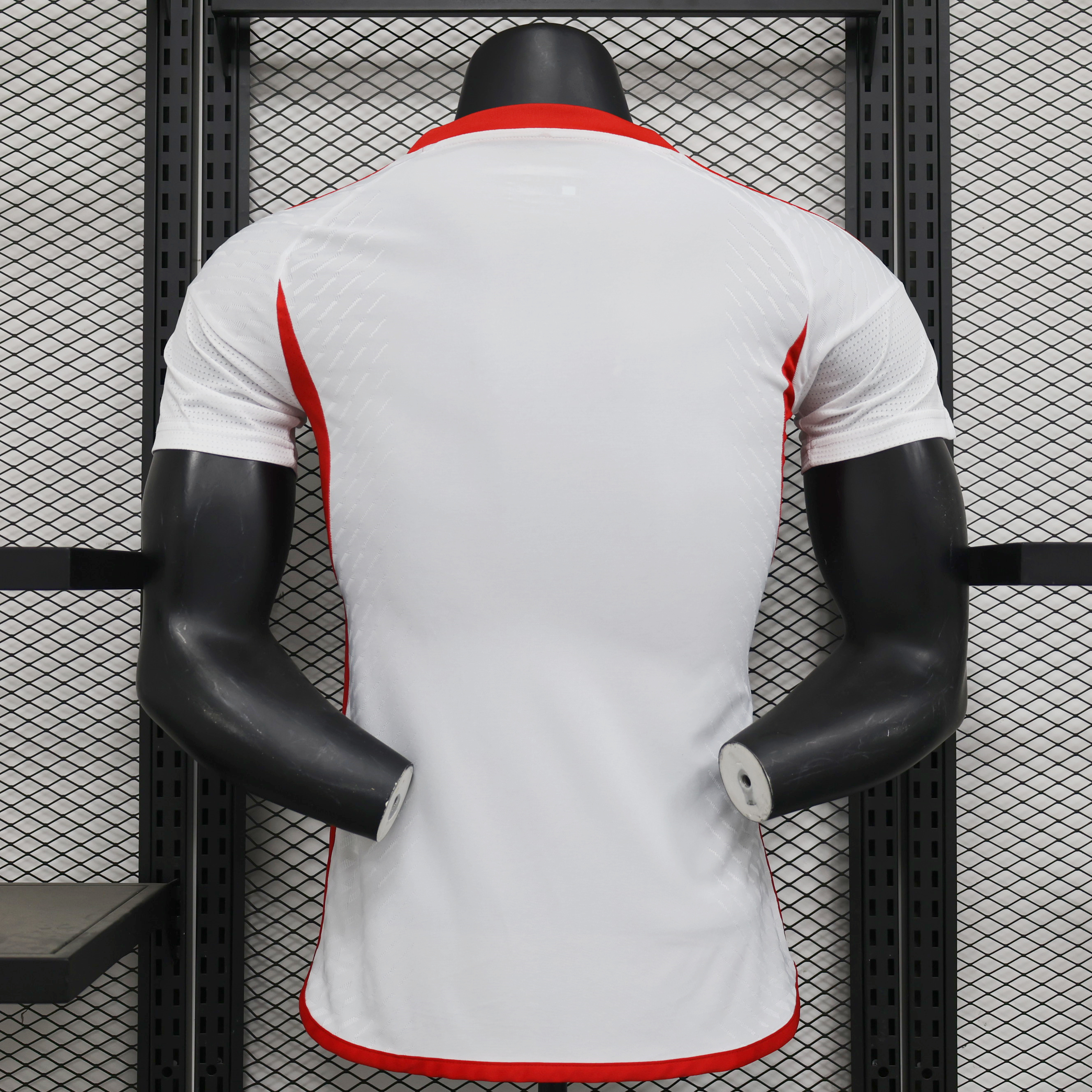 AlphaJersey-United Arab Emirates 2024 Home Stadium Jersey - Player Version