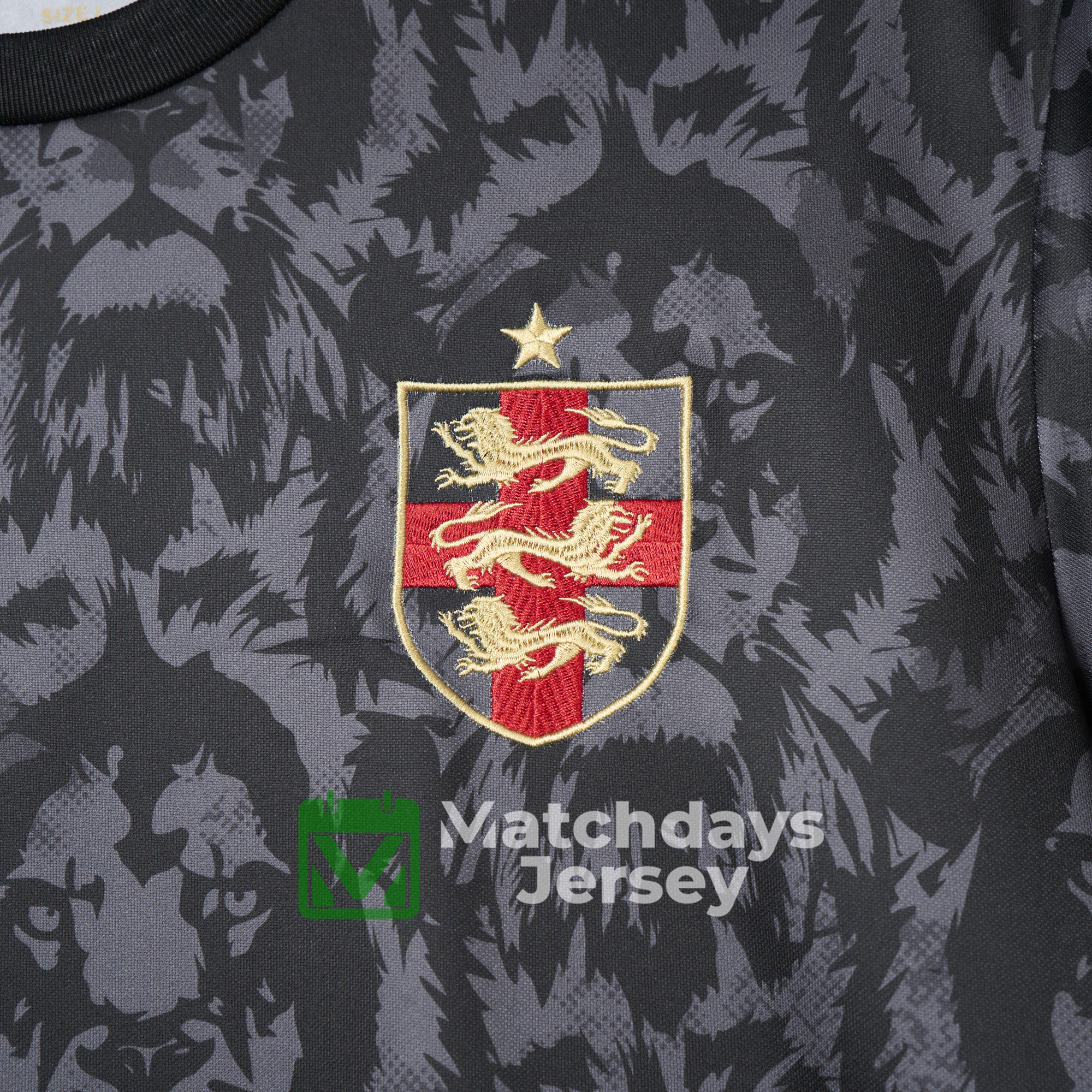 AlphaJersey-England 2024 Black The Lions Special Edition Jersey - Fans Version