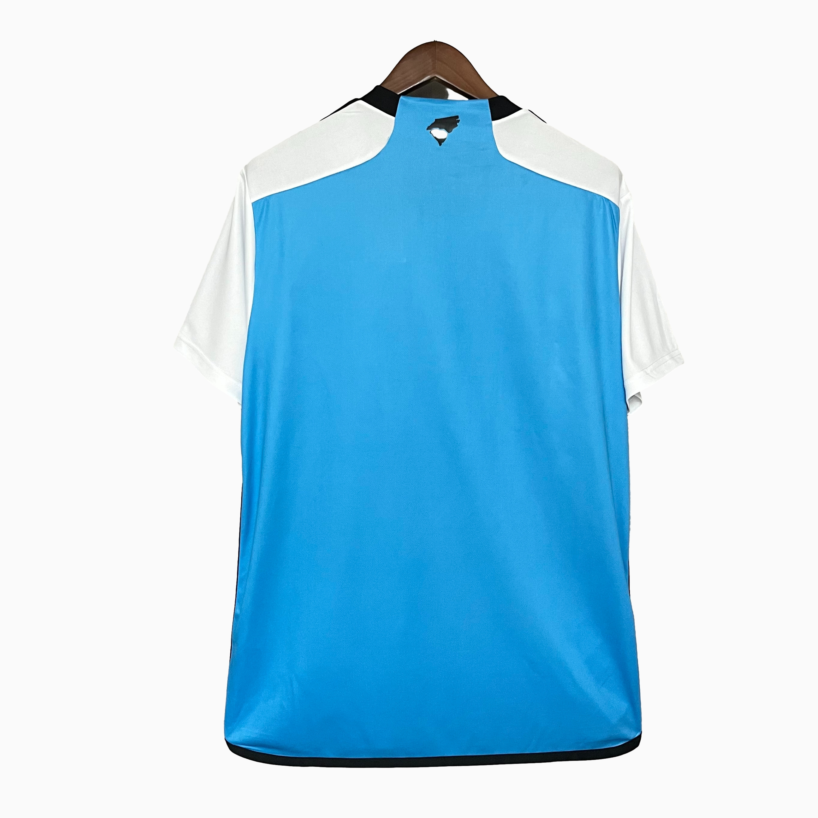 AlphaJersey-Charlotte 2024 Home Stadium Jersey - Fans Version