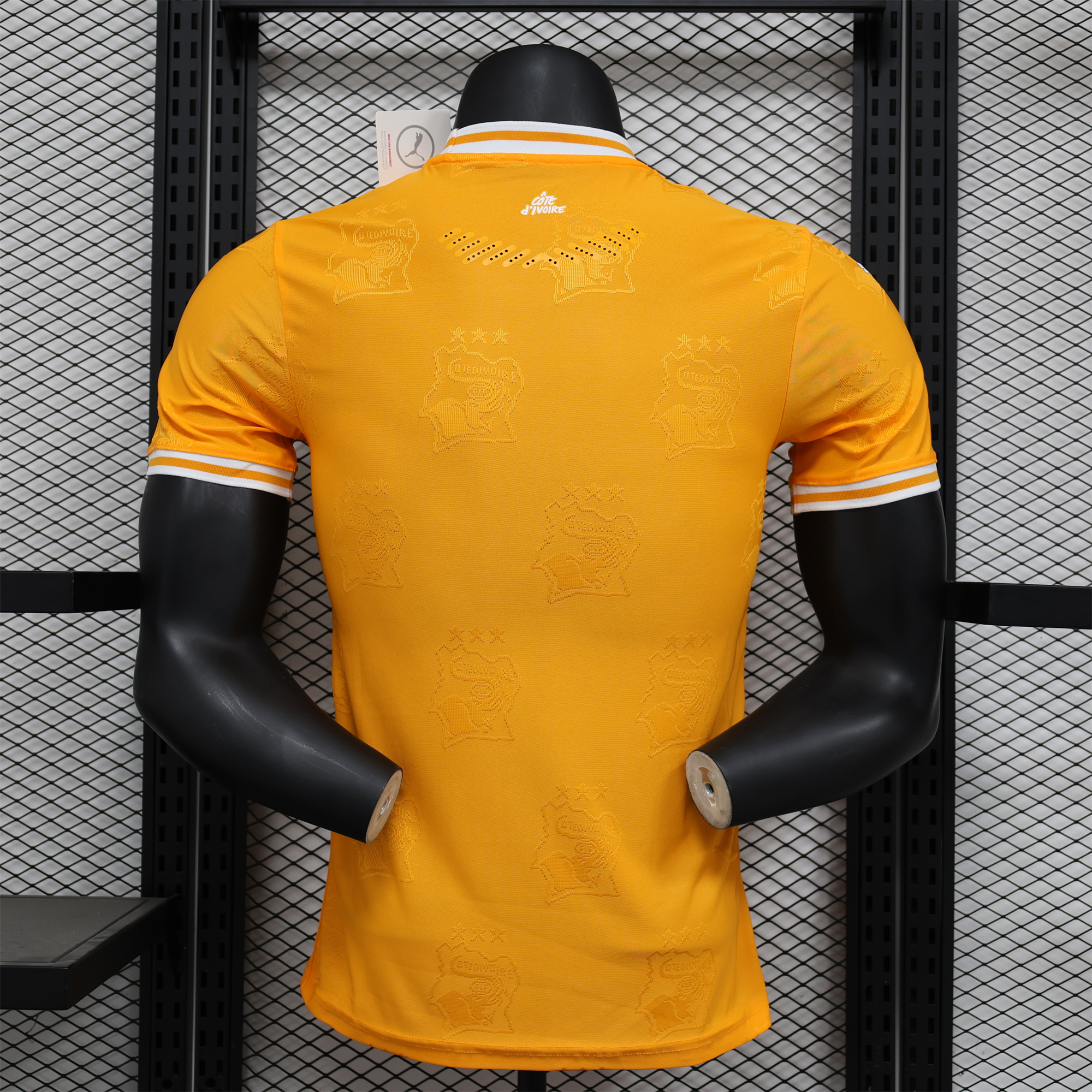 AlphaJersey-Ivory Coast 2024 Orange Elephant Special Edition Jersey - Player Version