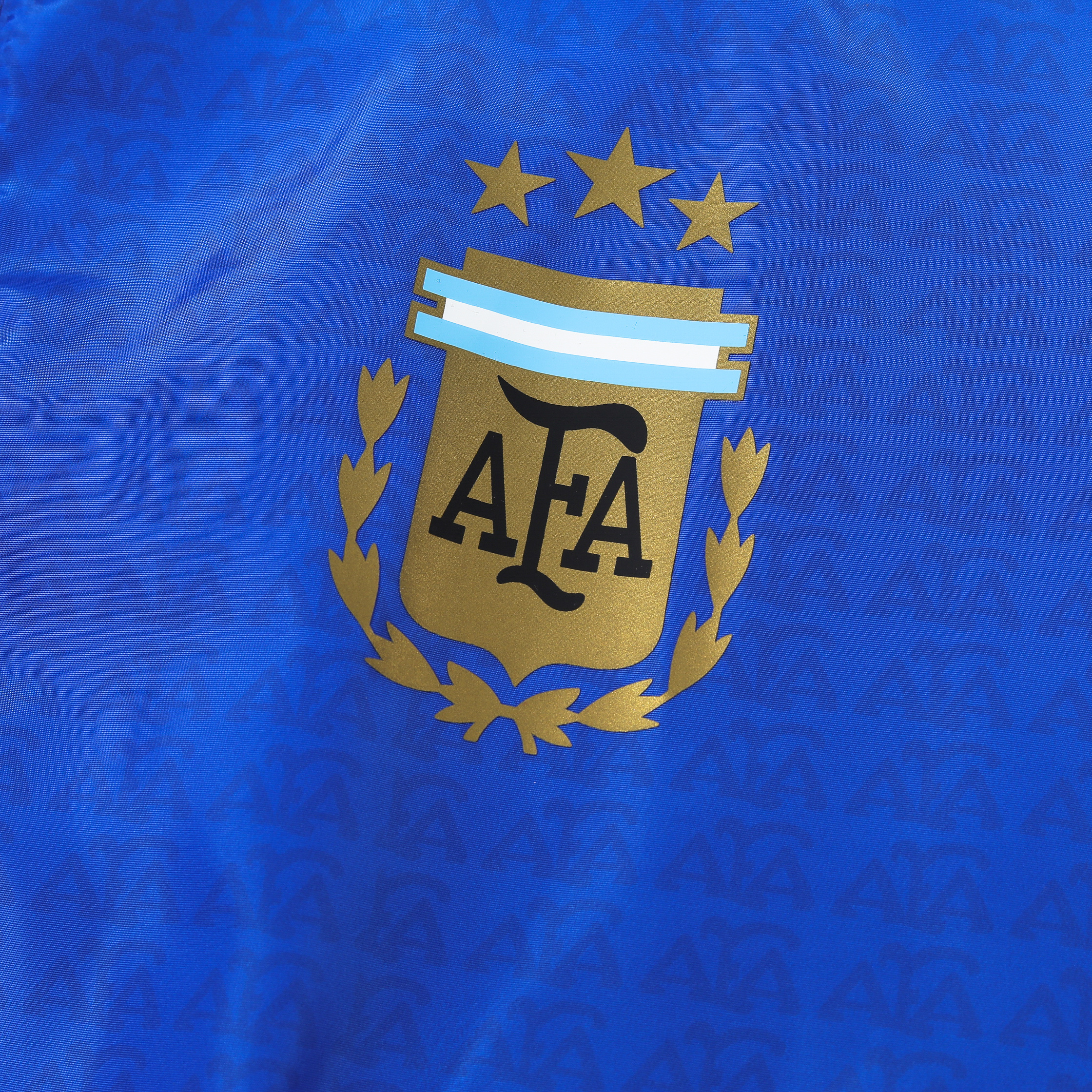 AlphaJersey-Argentine 2024 Vintage Style Blue Hooded Windbreaker - Player Version