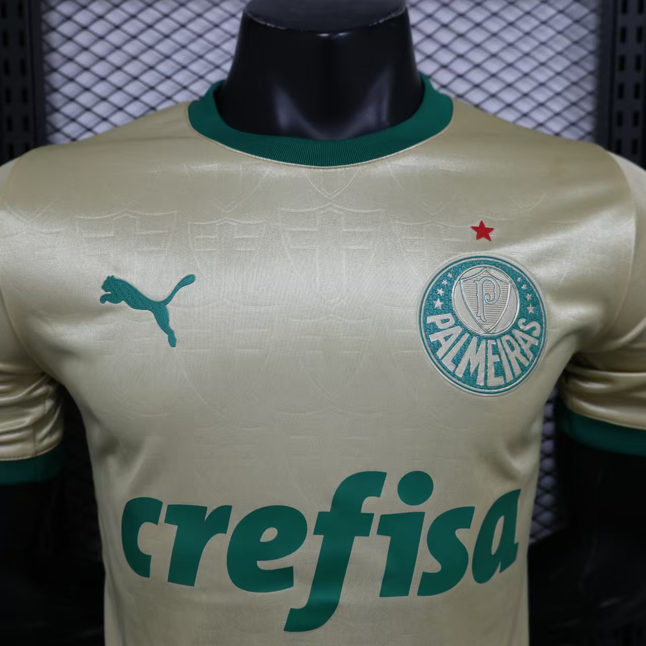 AlphaJersey-Palmeiras 2024 110-Year Anniversary Jersey - Player Version