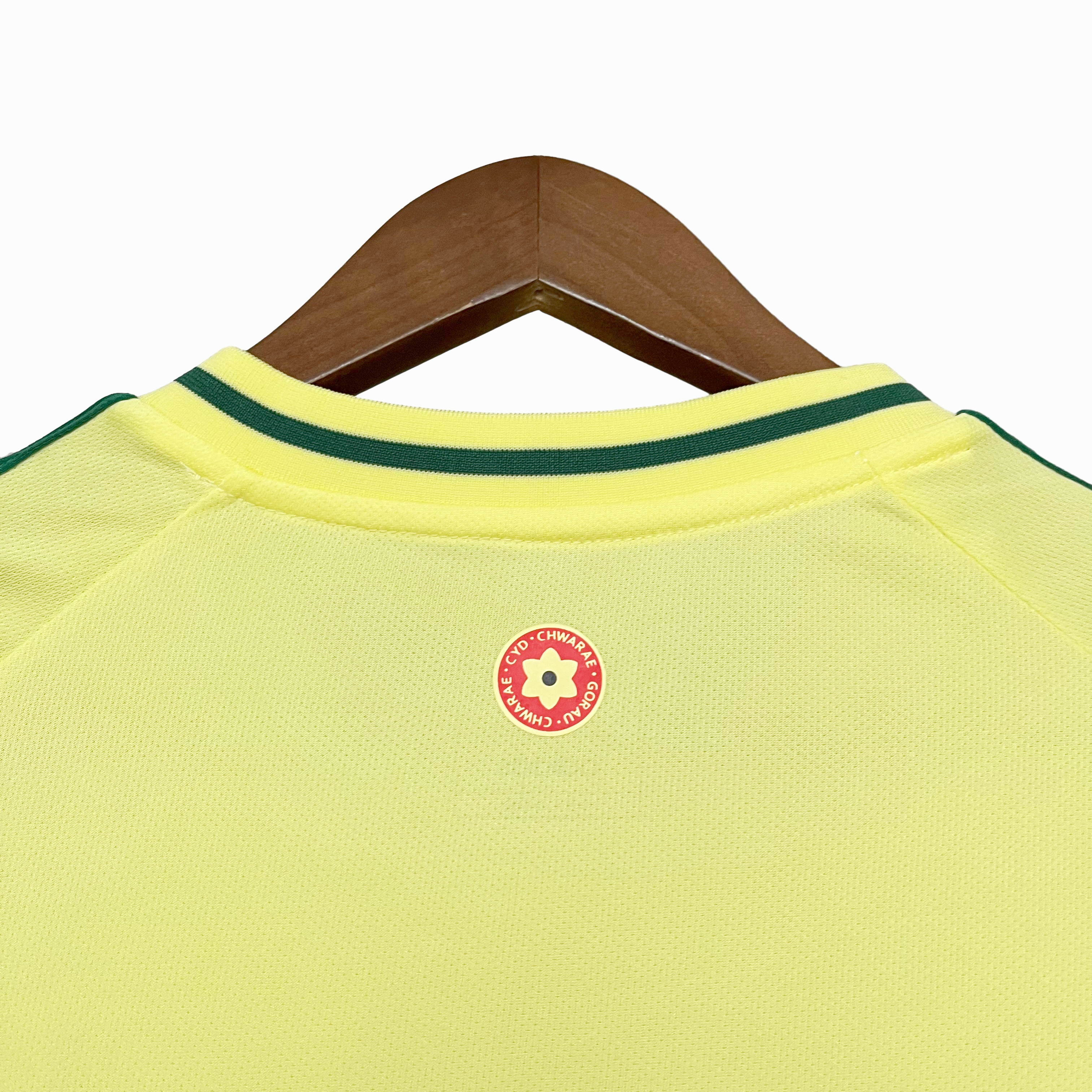AlphaJersey-Wales 2024 Away Stadium Jersey - Fans Version