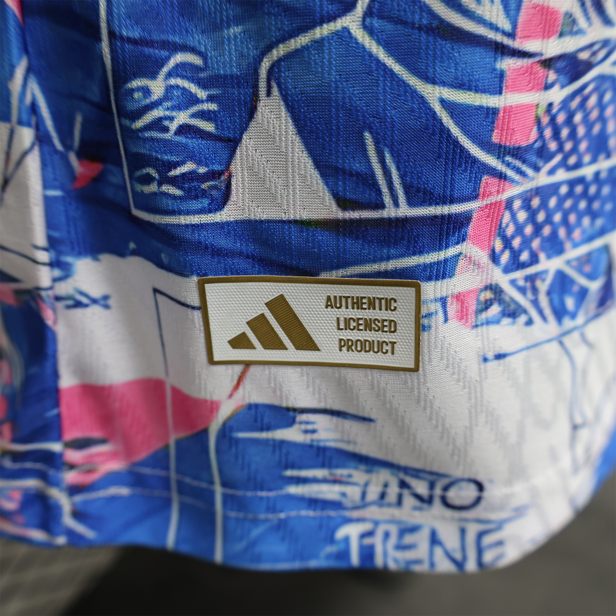 AlphaJersey-Japan 2024 Bejita Blue Special Edition Jersey - Player Version