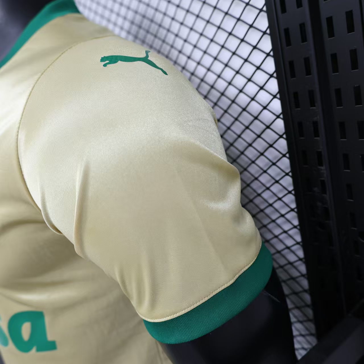 AlphaJersey-Palmeiras 2024 110-Year Anniversary Jersey - Player Version