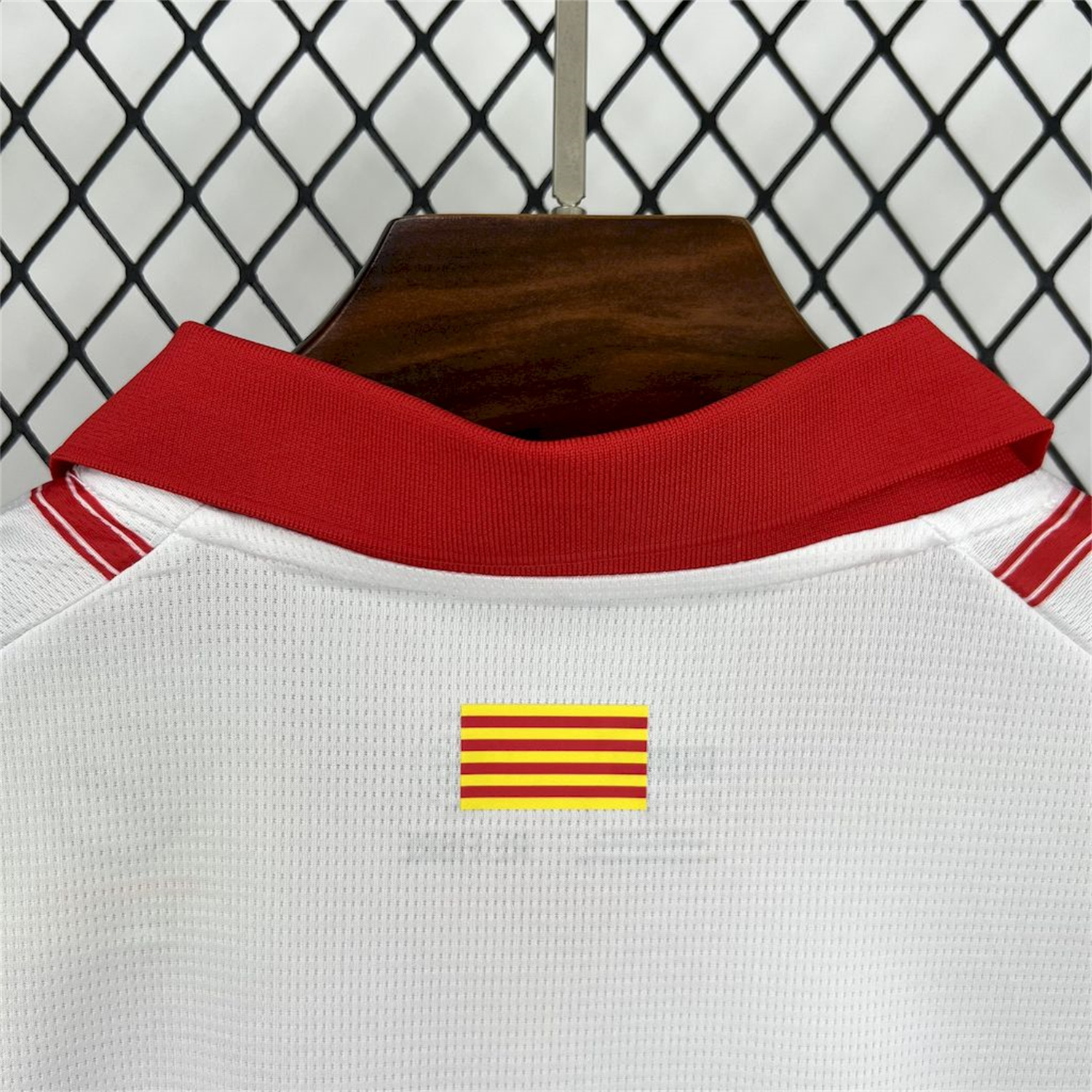 AlphaJersey-Girona 25-26 Home Jersey - Fans Version