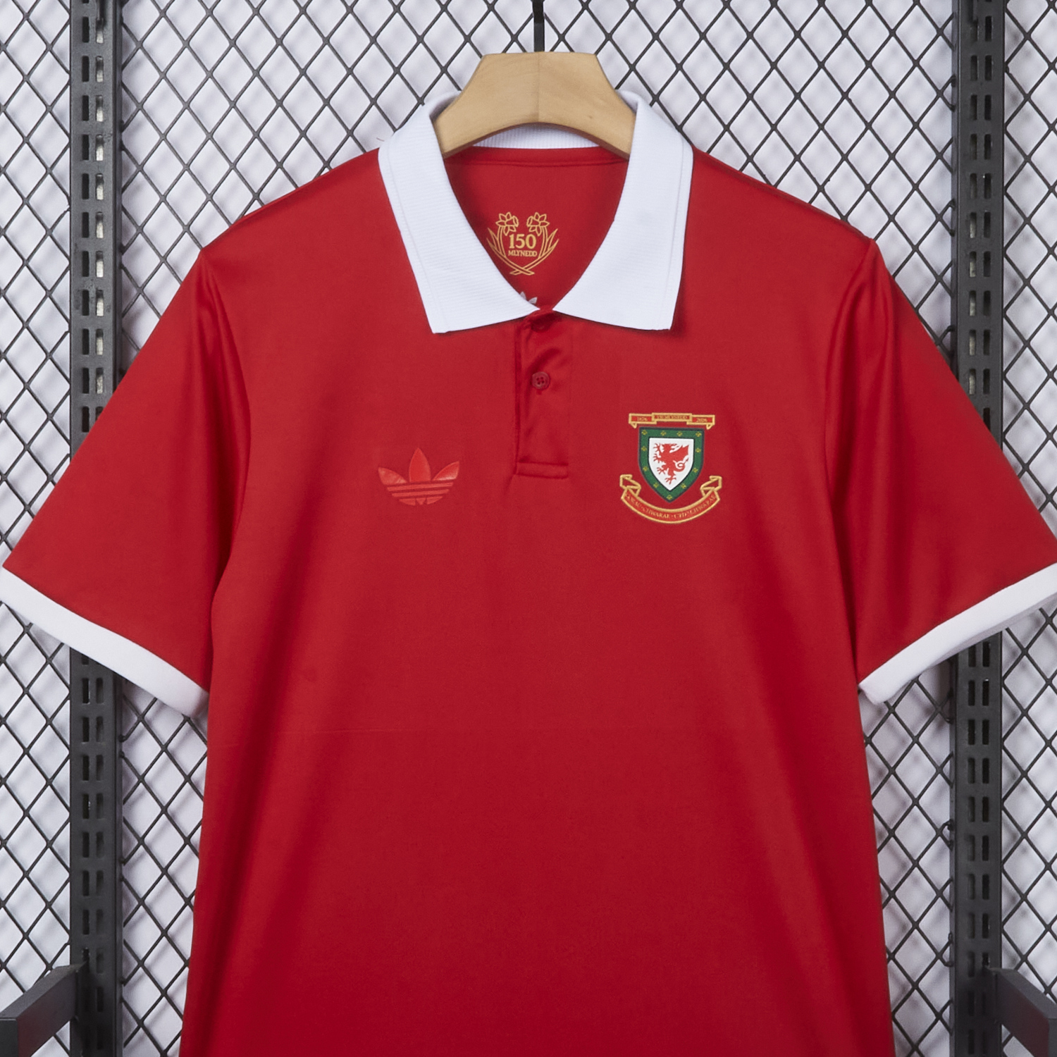AlphaJersey-Wales 2026 150th Anniversary Edition Jersey - Fans Version