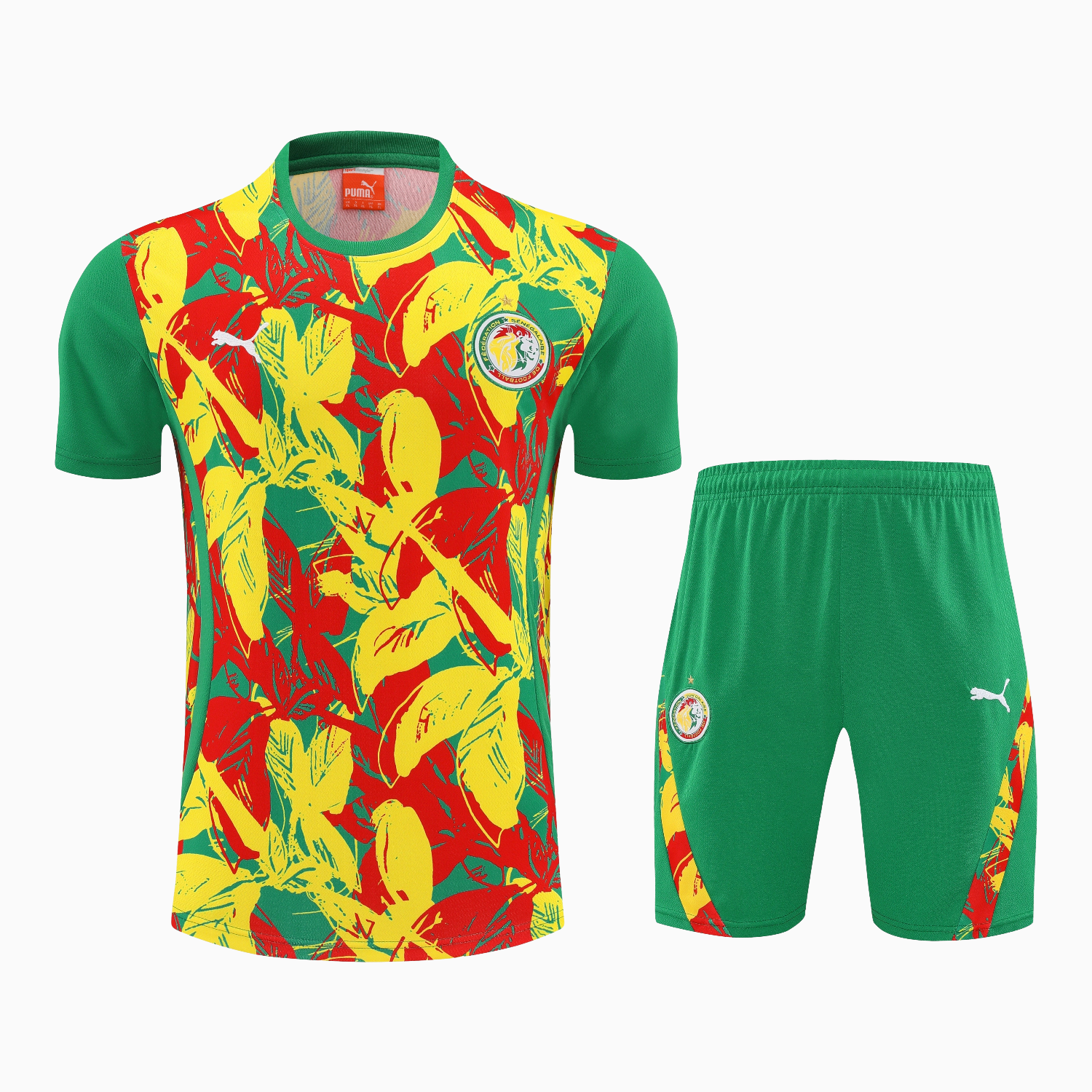 AlphaJersey-Senegal 2026 Short-Sleeve Training Set - Variegated Top and Green Shorts