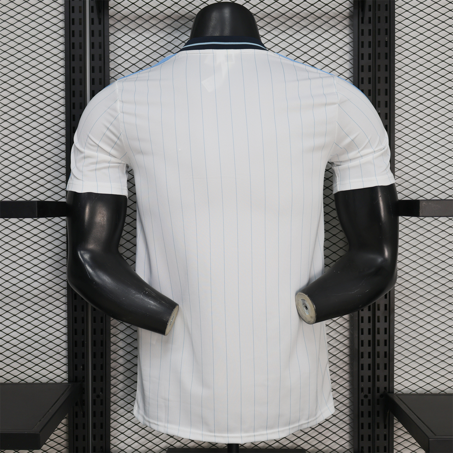 AlphaJersey-Argentina 2026 Terrace Icon Retro Casual Style White Jersey - Player Version