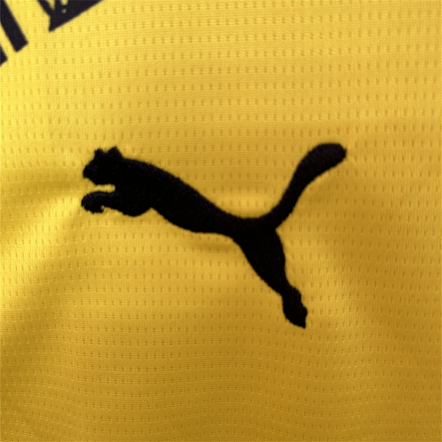 AlphaJersey-Dortmund 25-26 Home Unsponsored Jersey (Leaked Version) - Fans Version