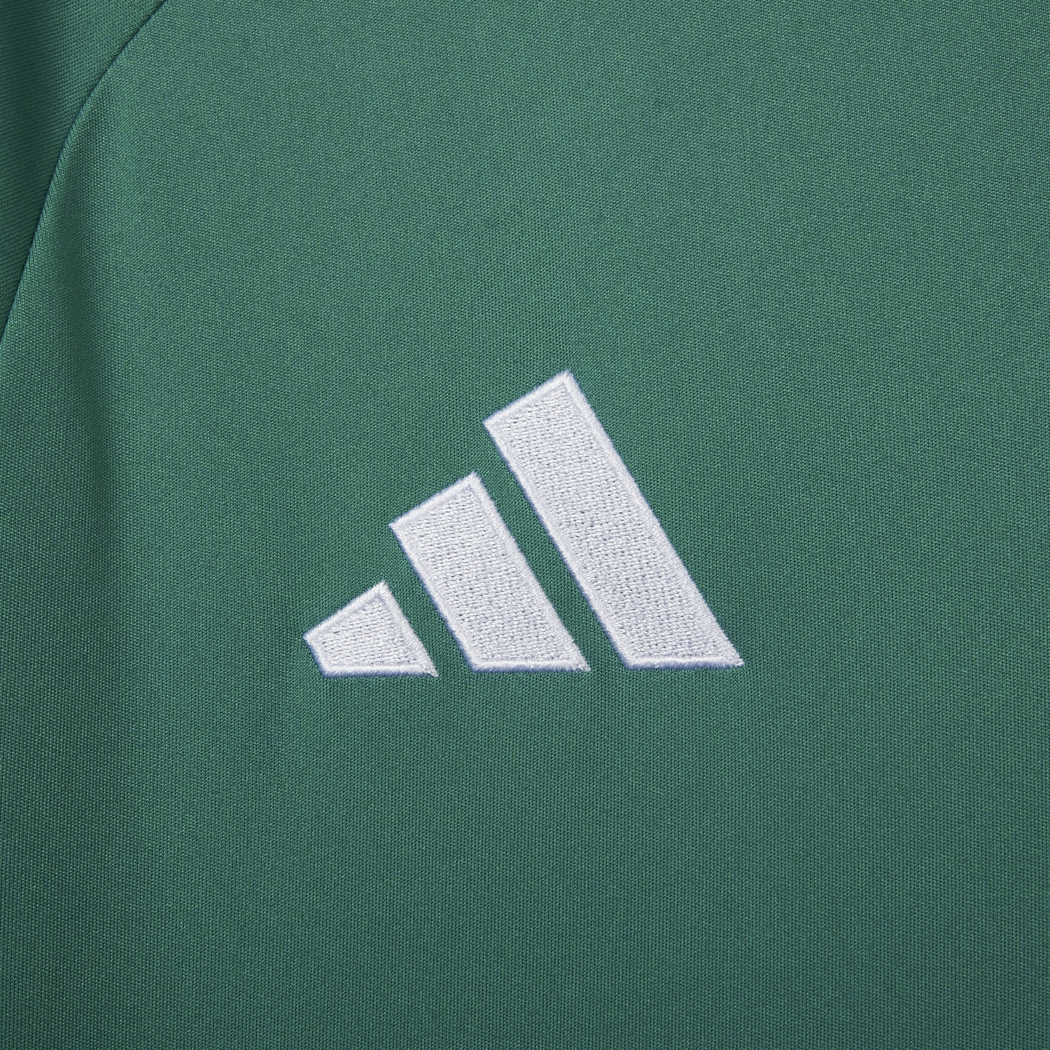 AlphaJersey-Germany 2026 Goalkeeper Green Long Sleeves Jersey - Fans Version