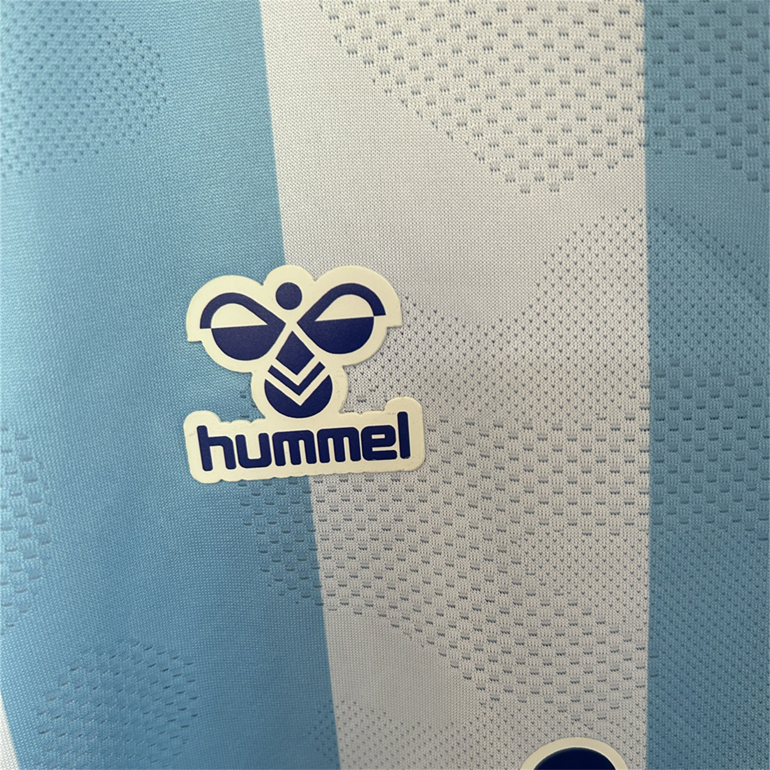 AlphaJersey-Malaga 25-26 Home Jersey - Fans Version
