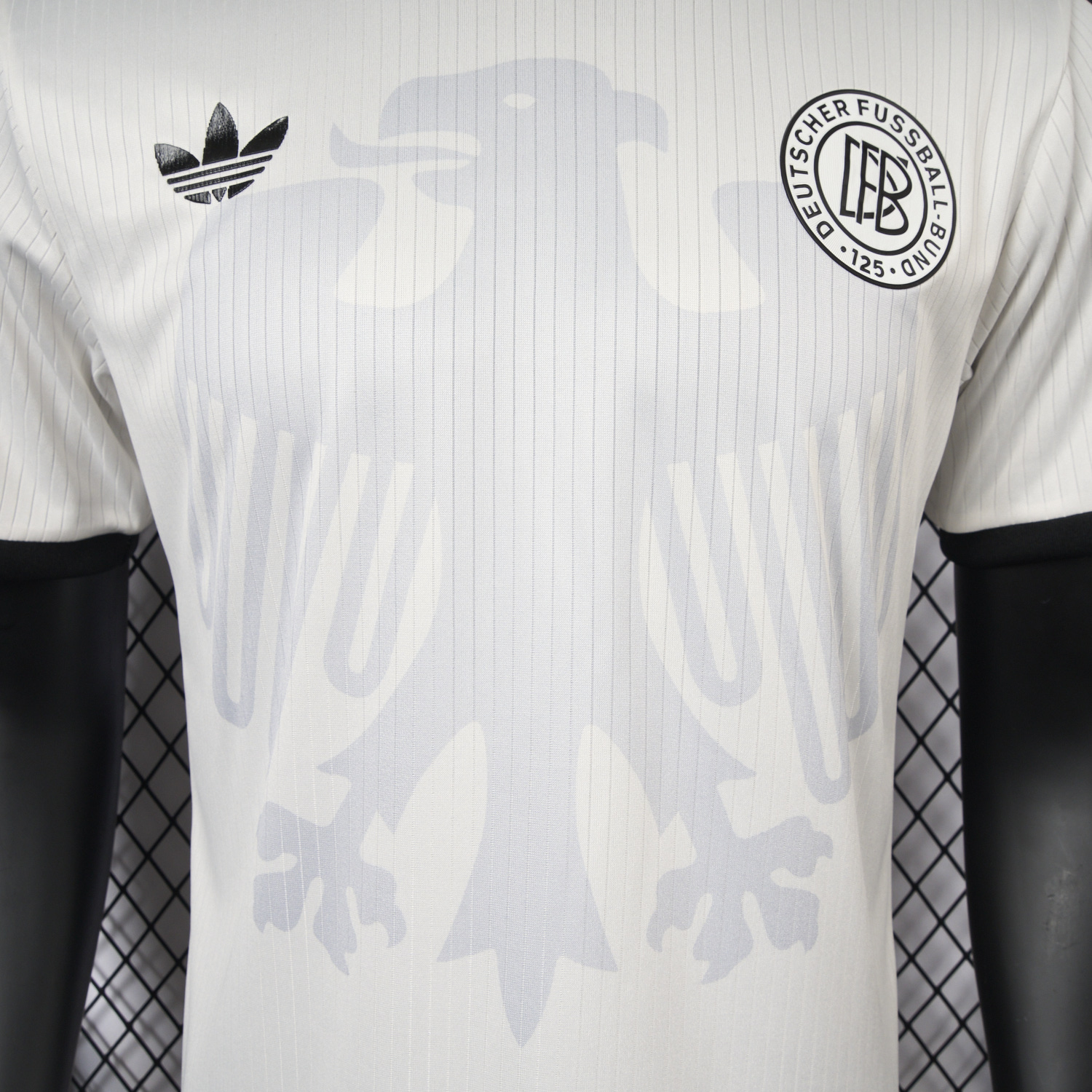 AlphaJersey-Germany 2025 125-Year Anniversary Big Eagle Jersey - Player Version