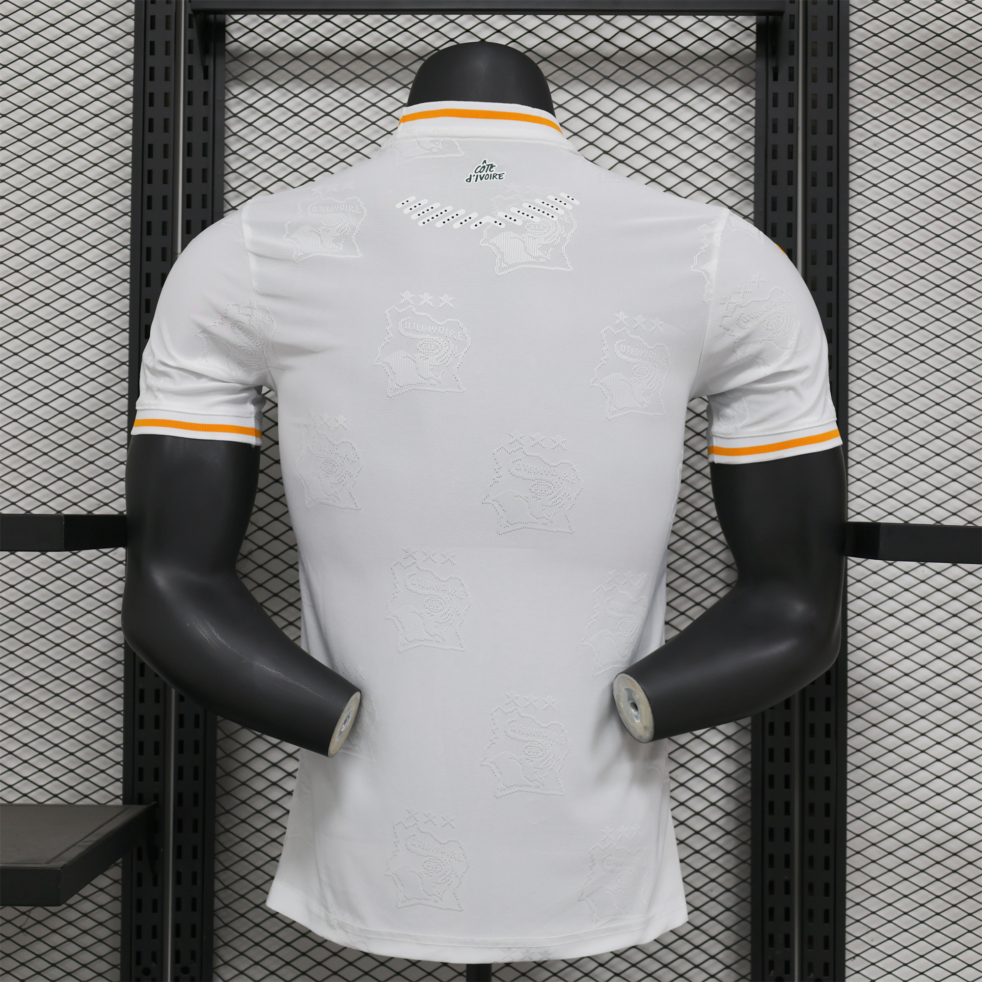 AlphaJersey-Ivory Coast 2024 White Special Edition Jersey - Player Version