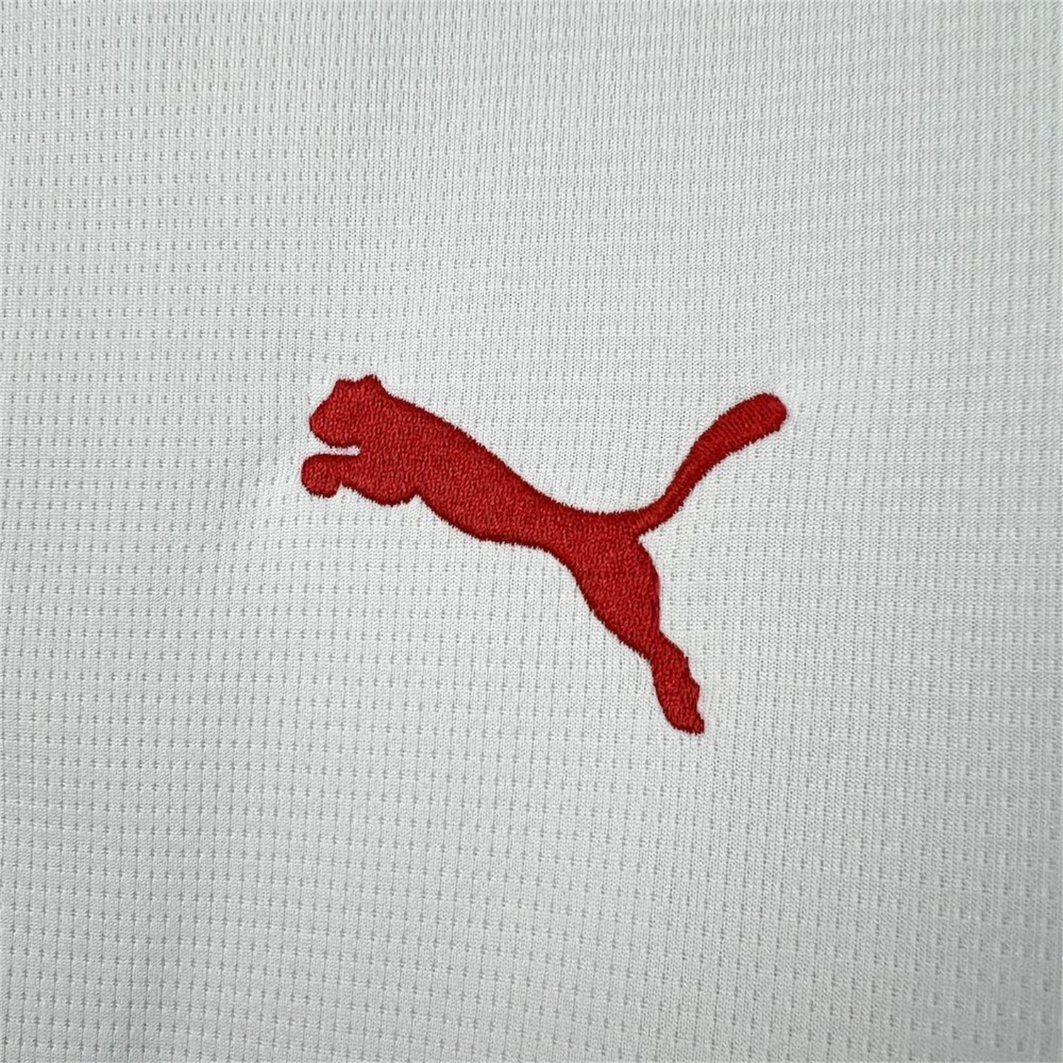 AlphaJersey-Portugal 2026 White And Green Special Jersey - Fans Version
