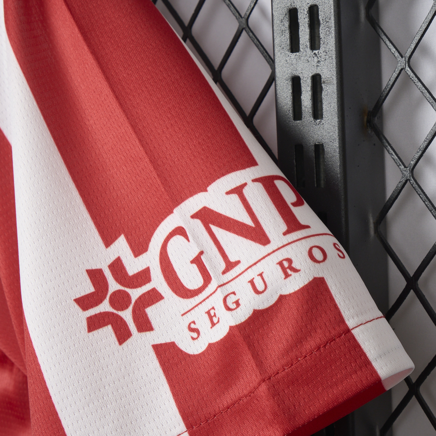 AlphaJersey-Chivas de Guadalajara 25-26 Home Jersey - Fans Version