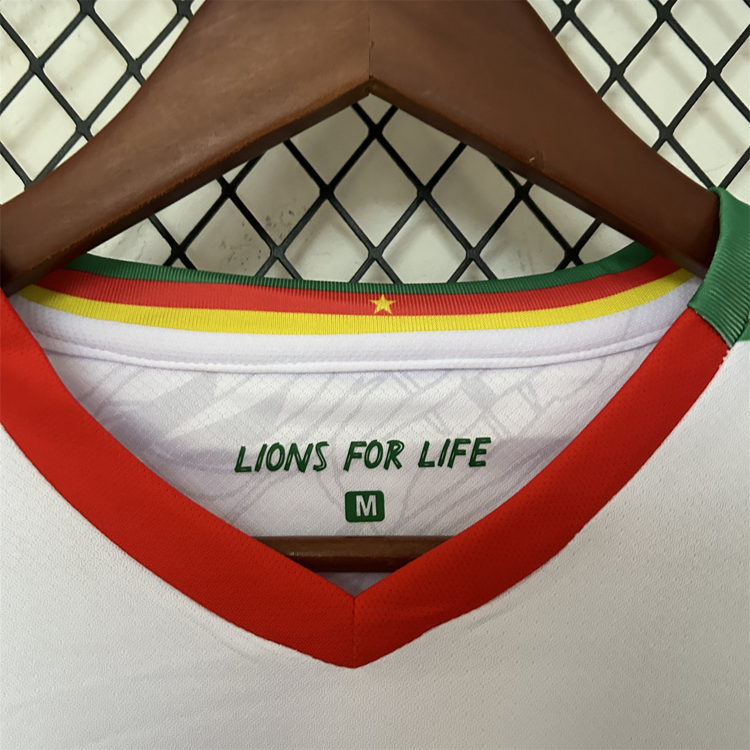 AlphaJersey-Cameroon 25-26 Third Jersey - Fans Version