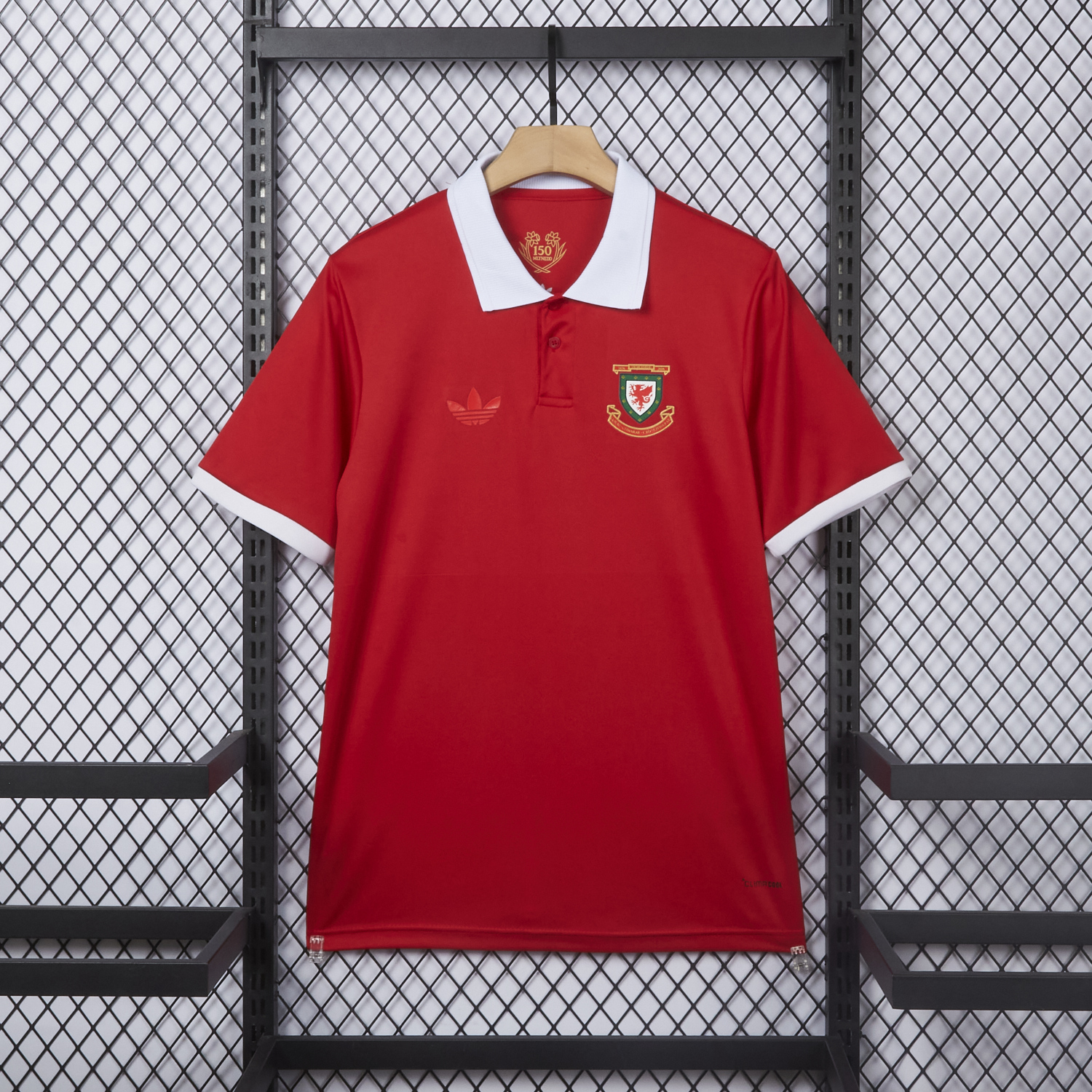 AlphaJersey-Wales 2026 150th Anniversary Edition Jersey - Fans Version