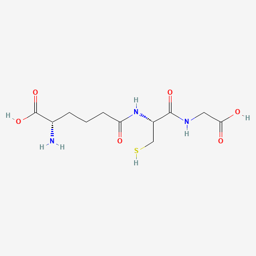 1-HCG1000 1-HCG1000